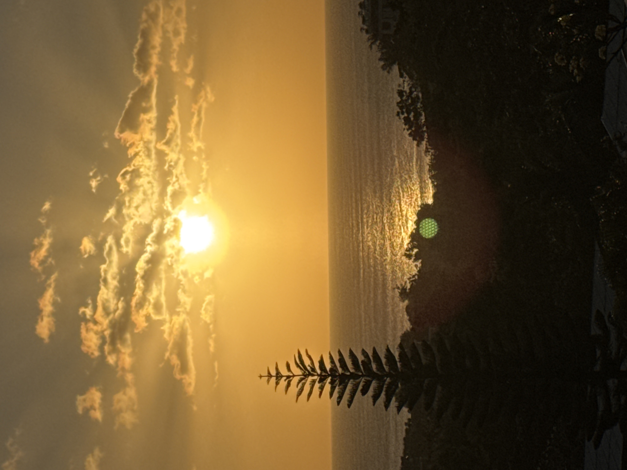 This image depicts a sunset over the ocean, likely taken from a vantage point on a hillside in Kuta Selatan, Indonesia. The sun, a bright orb of golden light, is positioned in the upper center of the frame, casting a warm glow across the sky and illuminating scattered clouds. The ocean stretches out to the horizon, its surface reflecting the sunlight in shimmering patterns. In the foreground, a silhouette of a tall, conical pine tree stands prominently on the left, its branches extending upwards. Below the tree and extending across the lower part of the image is a dark, dense landscape of foliage, with hints of structures and vegetation visible. The overall atmosphere is serene and tranquil, characteristic of a tropical sunset.