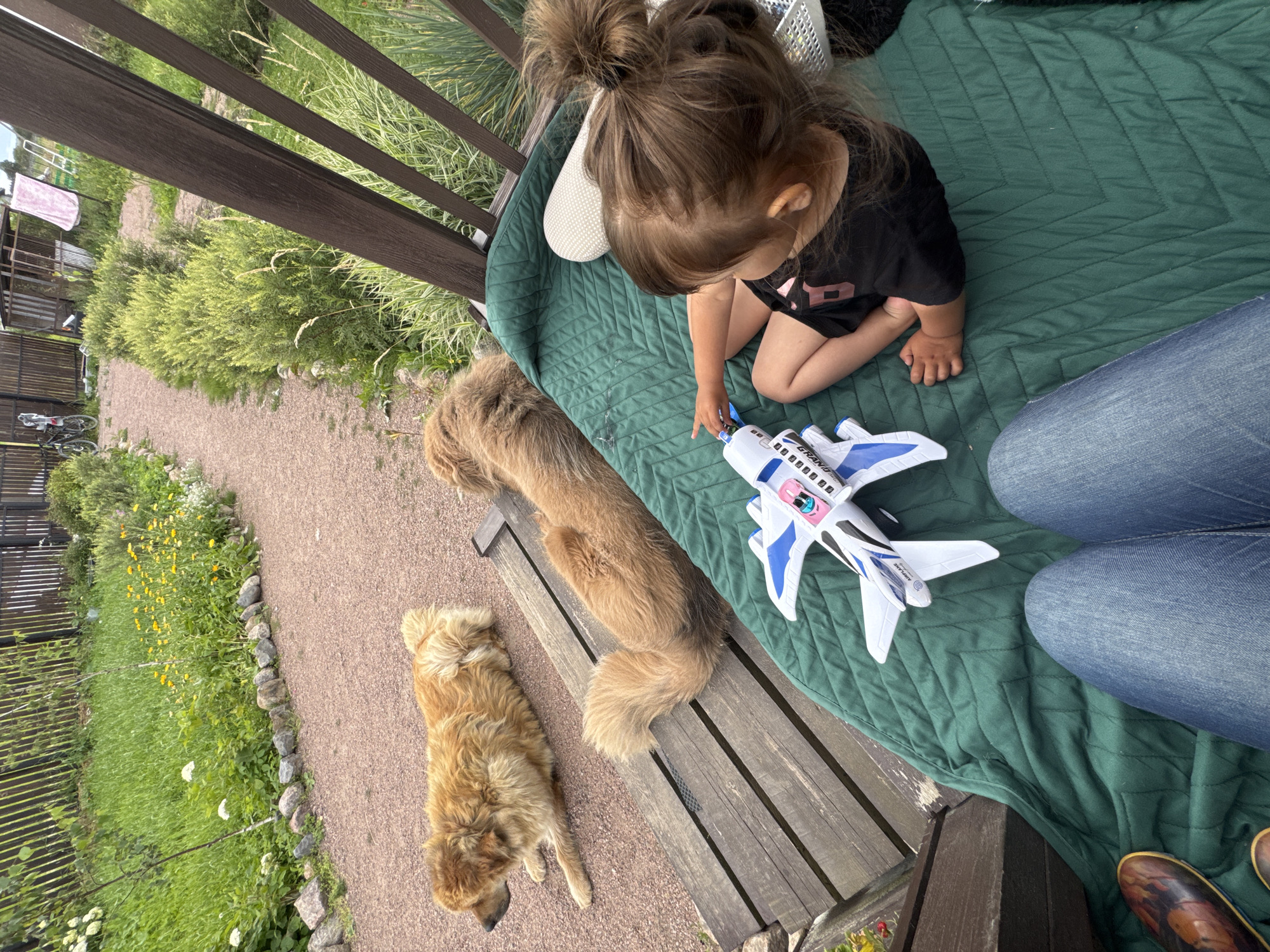 In Kempelevo, Russia, on a wooden platform overlooking a gravel path and a garden, a young child with brown hair pulled into a bun sits on a green quilted blanket, playing with a white and blue toy airplane. Two golden-brown dogs are lying on the wooden platform. One dog is in the foreground, facing left, and the other is further back, lying horizontally. The environment includes a wooden fence, various green plants, and yellow flowers.