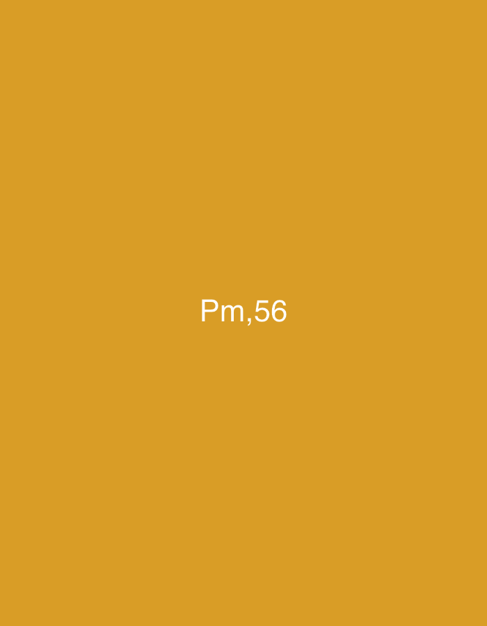 The image displays a uniform, solid mustard-yellow background. Centrally positioned on this background is white alphanumeric text reading "Pm,56". No other objects, subjects, actions, or environmental features are visible within the frame. The image does not contain any visual information pertaining to a specific geographic location, including Casablanca, Morocco.