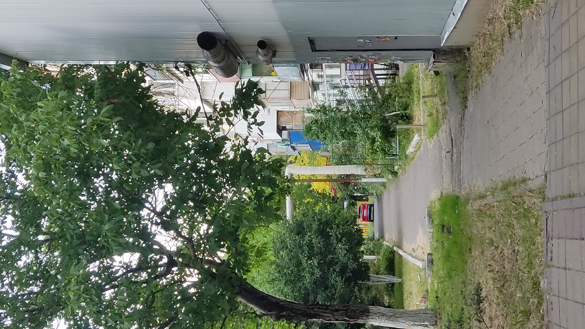 The image depicts an outdoor scene on a paved walkway leading towards a residential building. The walkway is flanked by green grass and trees, with a large tree on the left side of the frame. In the distance, a red car is visible on the walkway. The building on the right is a multi-story structure with a corrugated metal siding on the lower section and balconies on the upper floors. Two large ventilation pipes protrude from the side of the building. The scene appears to be in a residential area, possibly in Krasnodar, Russia, given the architectural style and vegetation. The lighting suggests it is daytime, with overcast or diffused sunlight. There are no people visible in the frame.