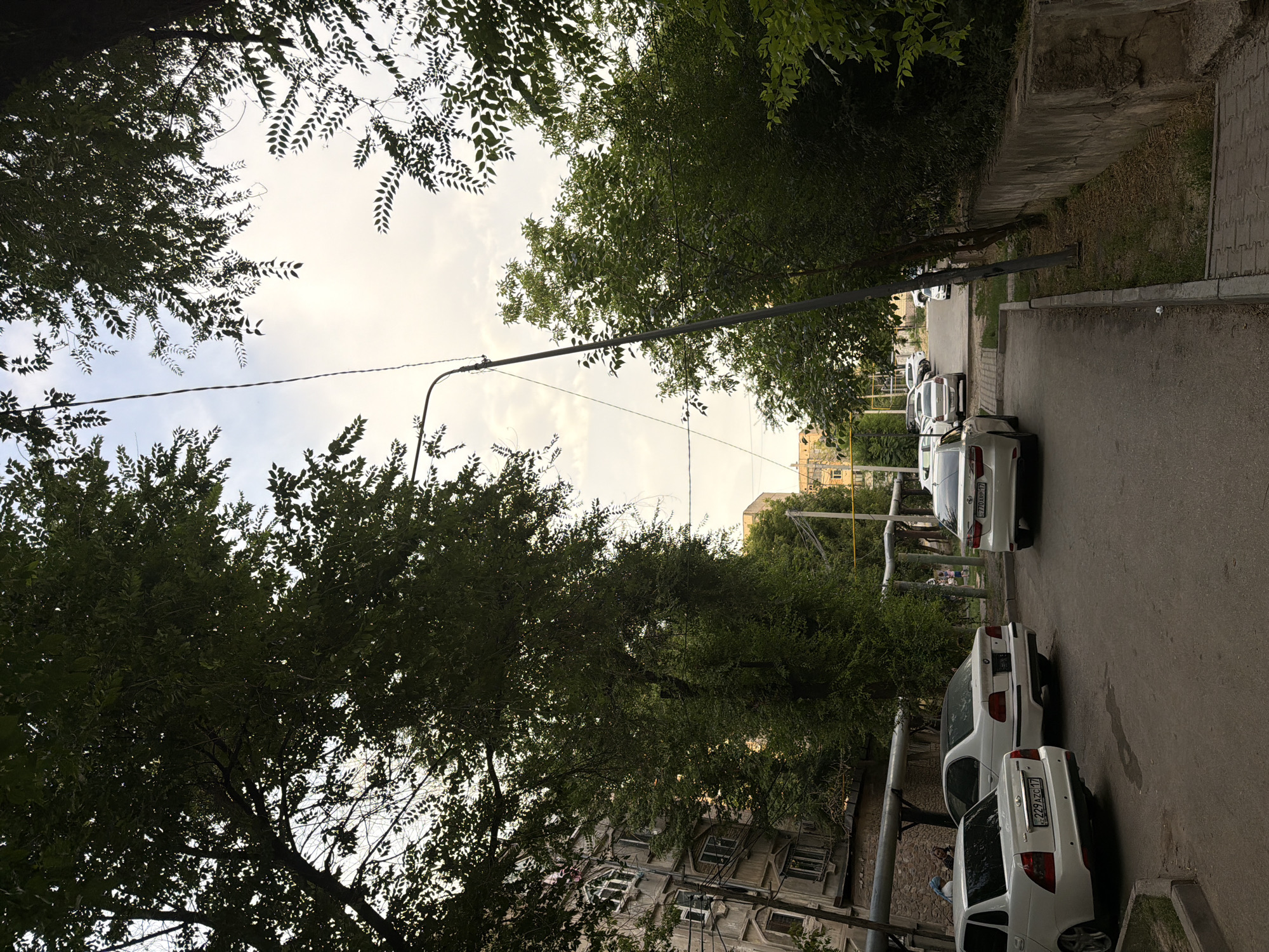 This image shows a street scene in Shymkent, Kazakhstan. The foreground features a paved road with several white cars parked along the side, including a Lada Granta with license plate "229 AZC 17" and a BMW. The cars are parked in front of a multi-story building with a gray facade. Lush green trees with dense foliage line the street, with their branches arching over the road and partially obscuring the sky. A street light pole, tilted and leaning, is prominent in the middle of the frame, with electrical wires running overhead. In the background, more trees and buildings are visible, including a taller building in a lighter color. The sky is overcast with a pale, diffused light, suggesting it may be early morning or late afternoon. The overall impression is of a residential street in an urban area with significant tree cover.