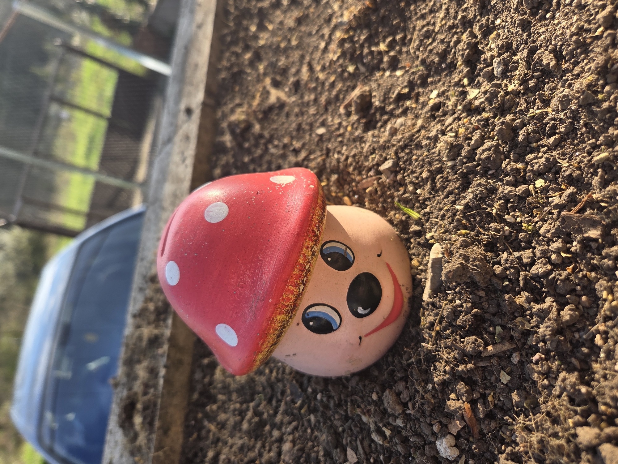 A mushroom-shaped garden ornament with a smiling face lies on dark soil. The mushroom cap is red with white polka dots and an orange border. The ornament is positioned next to a concrete edge, with a blurred view of a blue car and greenery in the background. The location is not specified in the image.