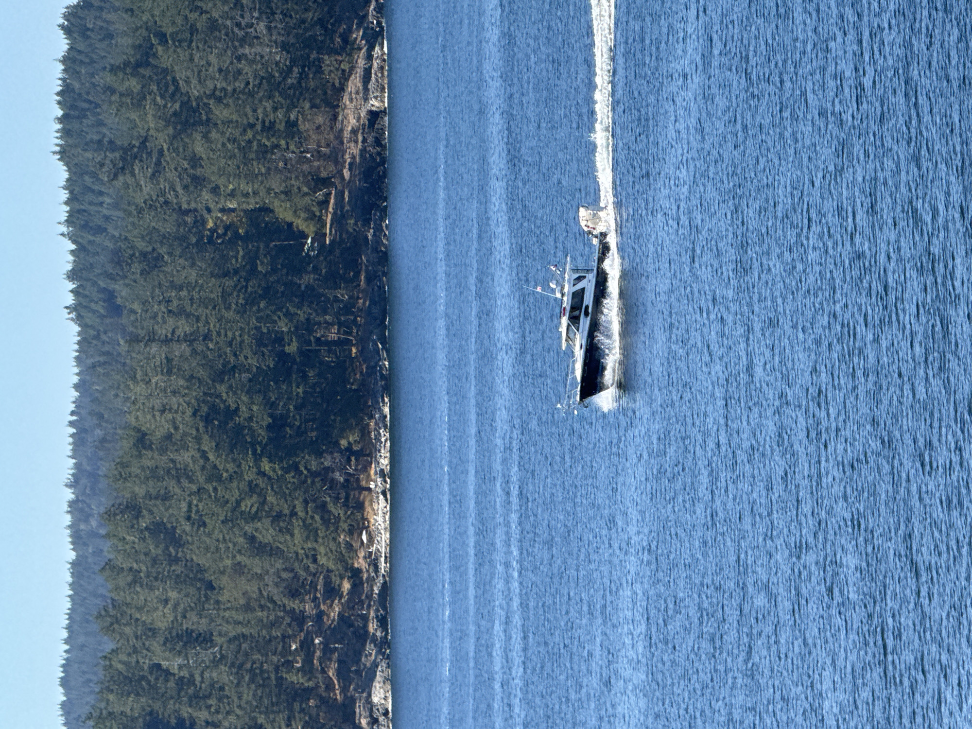 A white and dark blue motorboat travels at speed across the blue water of the ocean. It leaves a white wake behind it. The boat has several windows and a mast with a flag on top. In the background, a dense forest of green pine trees covers a rocky shoreline. The sky above is clear and blue. The scene appears to be in the Southern Gulf Islands Electoral Area, Canada, a region known for its coastal landscapes and abundant evergreen forests.