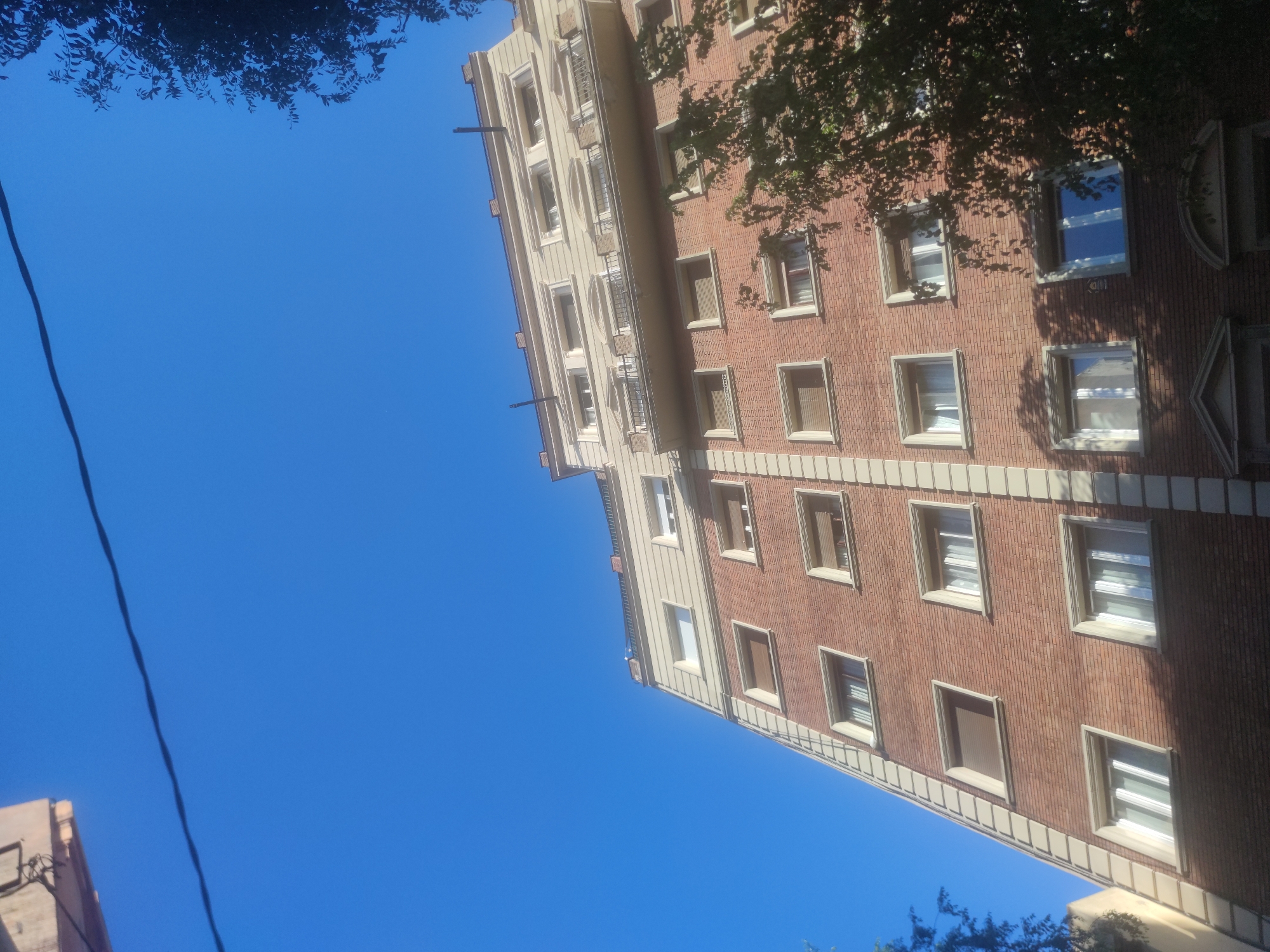 A low-angle shot showcases a tall, multi-story building against a bright blue sky. The building features a brick facade with rows of windows, some with curtains visible inside. A lighter-colored section runs vertically along the building's edge. Branches of trees frame the top edges of the image, providing a sense of depth. A thin, dark wire extends diagonally across the left portion of the sky. The building appears to be in an urban setting, though the precise location remains unspecified. The scene is bathed in natural sunlight, casting shadows on the building's surface.