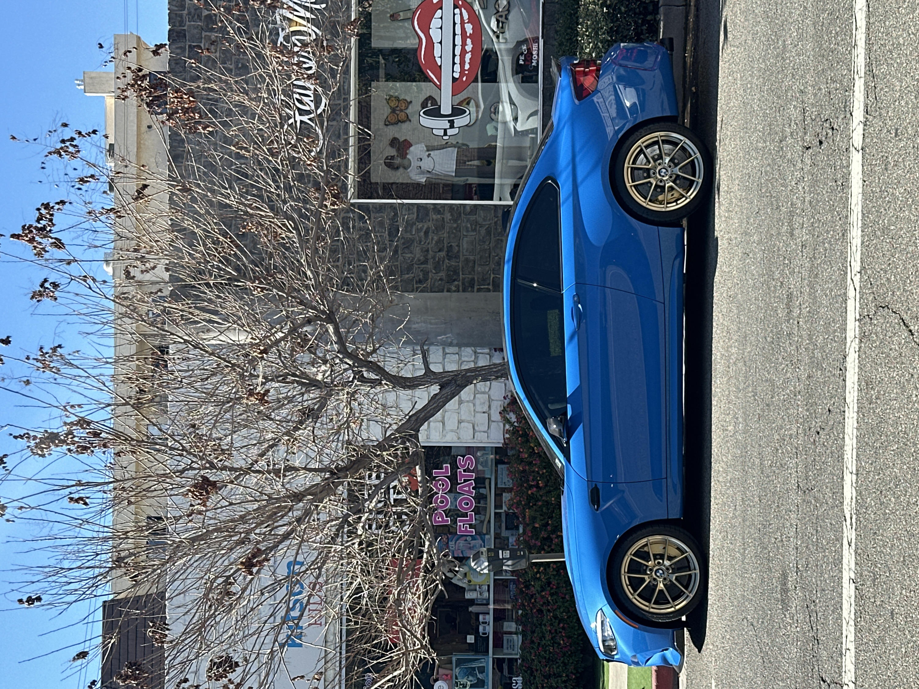 This image captures a vibrant blue sports car parked on the side of an urban or suburban street on a clear, sunny day. The car, which appears to be a BMW based on the logo visible on its wheels, is a two-door coupe with distinct gold-colored, multi-spoke alloy wheels. It is parked parallel to a dark curb, adjacent to an asphalt road that features a worn white lane line.
Behind the car, a large, bare deciduous tree with intricate branches occupies a significant portion of the midground, partially obscuring a building. Some dried, reddish-brown leaves still cling to its branches, suggesting late autumn or winter. The sky above is a bright, clear blue.
The building behind the tree has a dark, textured facade, possibly made of brick or stone. It features large storefront windows with various displays and text. Visible on one window, in large white script, is the word "Candy." Another section of the window display features a prominent graphic of a stylized red mouth with white teeth, holding what looks like a silver barbell or weight. Below this, smaller images include yellow pumpkin-like objects or oranges, butterflies, and a display mannequin wearing a white t-shirt with a yellow smiley face. In another part of the window, possibly on a different pane or as a reflection, the words "PEACE LOVE MOSES" can be seen. Further down, in pink block letters, the words "POOL FLOATS" are displayed on a window.
The scene is illuminated by bright daylight, casting subtle shadows and highlighting the glossy finish of the car. There are no people visible, and the car appears stationary.