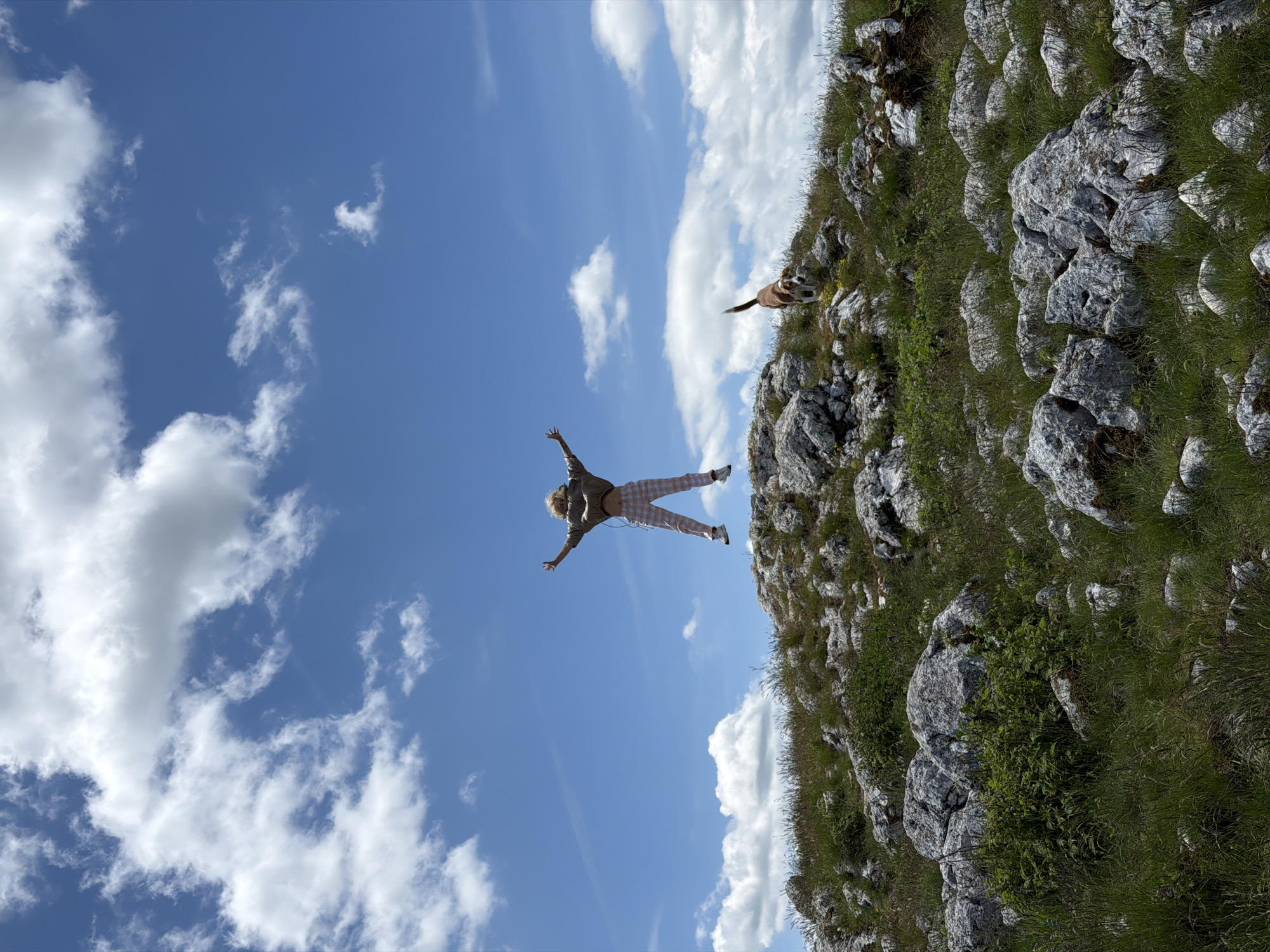 This image depicts an outdoor scene in Novakovići, Montenegro, under a clear blue sky with scattered white cumulus clouds. The foreground and midground consist of a rocky, grassy hill. Numerous irregular, light-colored rocks are interspersed with patches of green grass and some darker green foliage.
One person is captured in mid-air, jumping, positioned centrally above the peak of the hill. The individual has light-colored, curly hair and is wearing a light brown or olive green cropped jacket or top, revealing their midriff, paired with light-colored, possibly pink, plaid trousers and white athletic shoes. Their arms are outstretched and slightly bent, with hands open, and their legs are bent with knees drawn up.
To the right of the jumping person, on the slope of the hill, a medium-sized dog is visible. The dog has short brown and white fur, with its tail held erect. It appears to be walking or standing on the rocky, grassy terrain, facing towards the left side of the frame. The overall scene suggests a sunny day.