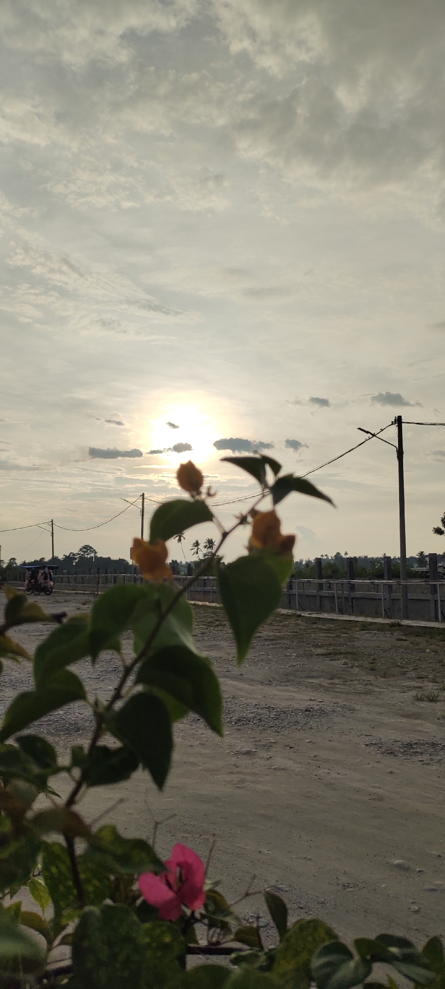 The image depicts a bright, overcast sky with the sun peeking through the clouds, casting a soft glow. In the foreground, a leafy branch with several small orange buds and one vibrant pink flower is in sharp focus. Behind the branch, a dirt road stretches into the distance, bordered by a low fence. In the mid-ground, a utility pole with wires is visible. Further back, palm trees and buildings suggest a rural or semi-urban environment. A three-wheeled vehicle is present on the road in the distance, indicating potential human activity. The scene appears to be located in Meunasahaluedrienlhoksukon Barat, Indonesia, possibly during daylight hours.