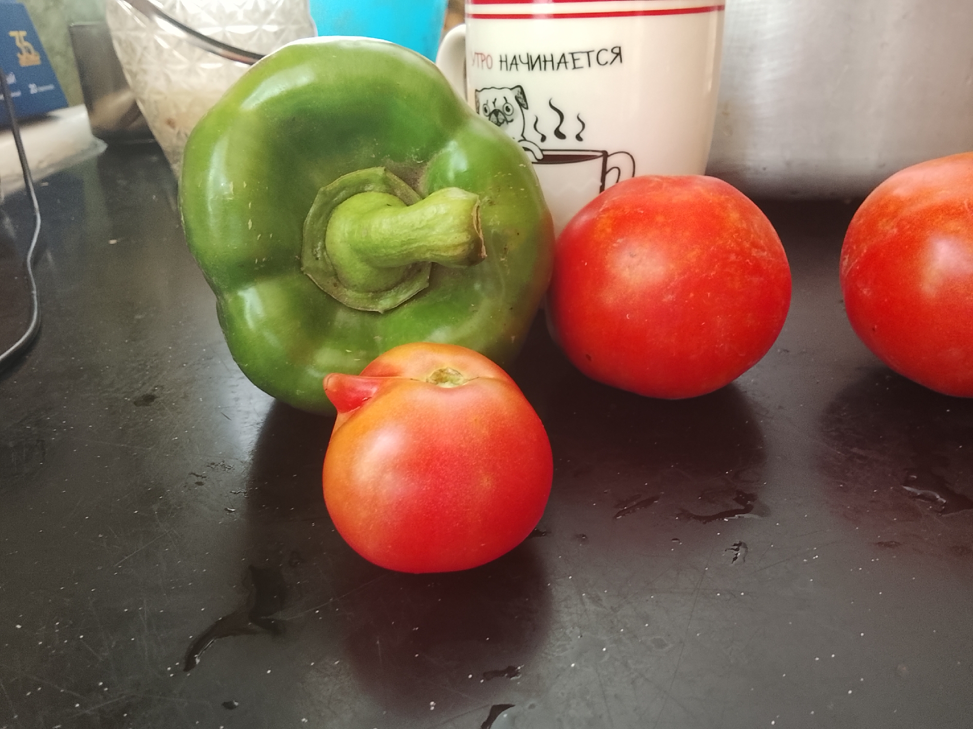 This is a close-up, eye-level, indoor photograph of a green bell pepper and three tomatoes on a dark, speckled countertop. The bell pepper is large and occupies the left side of the frame. To its right are two red tomatoes, one in the foreground and one slightly behind it and to the right. Another tomato, partially visible, is on the far right. Behind the bell pepper and to its right is a white mug with a red stripe at the rim. Text in Cyrillic and a drawing of a dog are visible on the mug. The countertop appears wet in several places. The background is blurred, showing hints of other kitchen items, including a glass bowl and a metallic surface. The location is not specified.