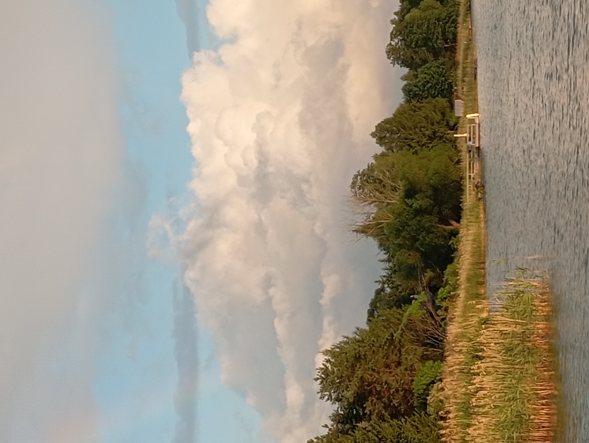 The image depicts a serene natural landscape with a body of water in the foreground, bordered by dense vegetation and trees along the distant shore. The water surface is calm, reflecting the soft light of the sky, which is filled with large, voluminous clouds. The vegetation consists of tall reeds along the immediate edge of the water, transitioning into a mix of deciduous and coniferous trees further inland. A wooden pier with several structures, possibly small buildings or docks, is visible along the shoreline. The overall impression is one of tranquility and natural beauty, suggesting a rural or lakeside setting. The image was taken in Mołowiste, Poland.