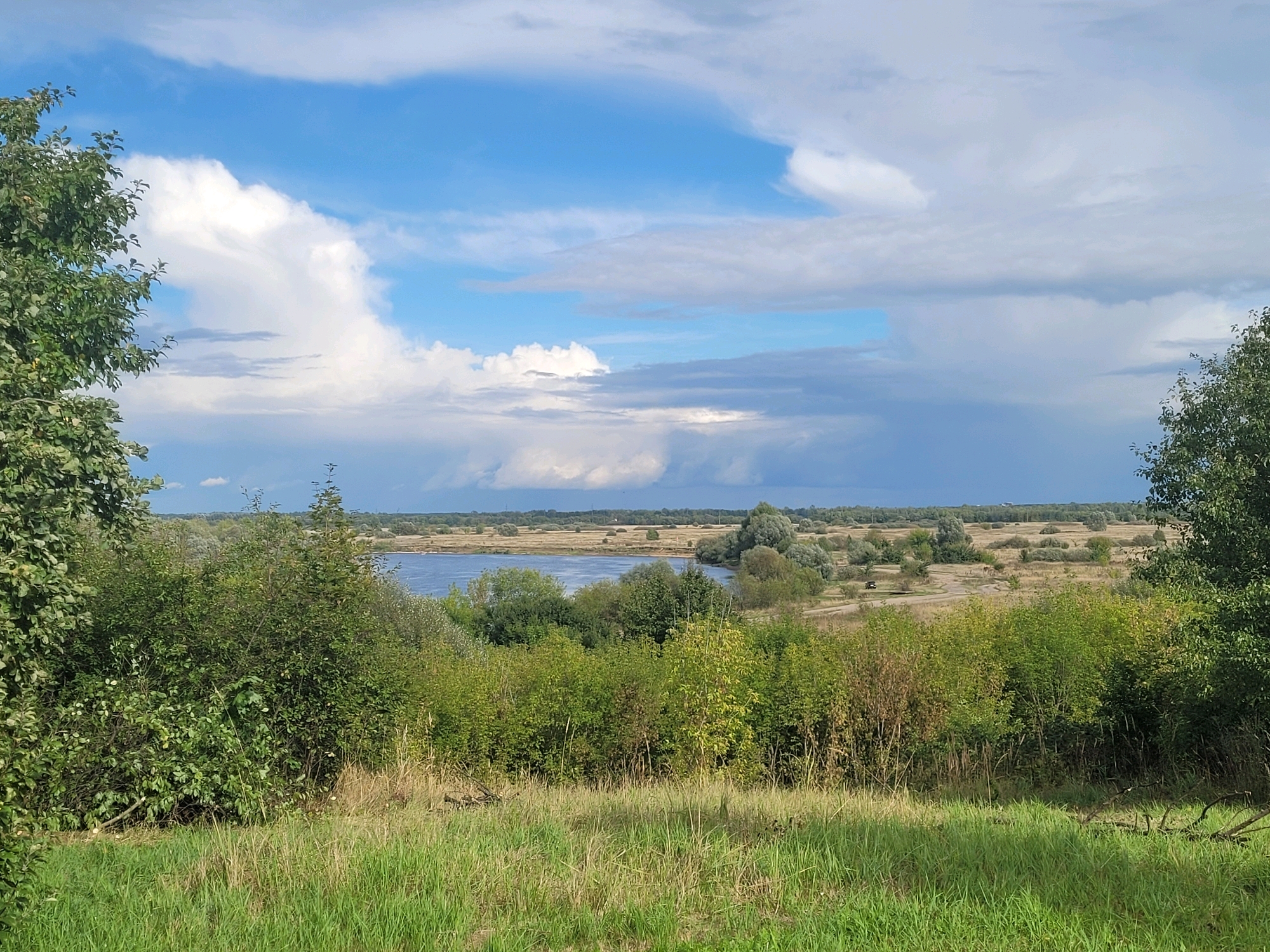 The image depicts a landscape scene in the Zhmuravsky Selsoviet, Belarus, on a partially cloudy day. In the foreground, there is tall green grass. Beyond the grass, dense green foliage and trees dominate the mid-ground. A body of water, likely a river or lake, is visible in the middle distance, with a treeline and open fields stretching towards the horizon. The sky is a mix of blue with large, fluffy white and grey clouds. The overall impression is of a natural, rural environment. There are no people or animals visible in the image.