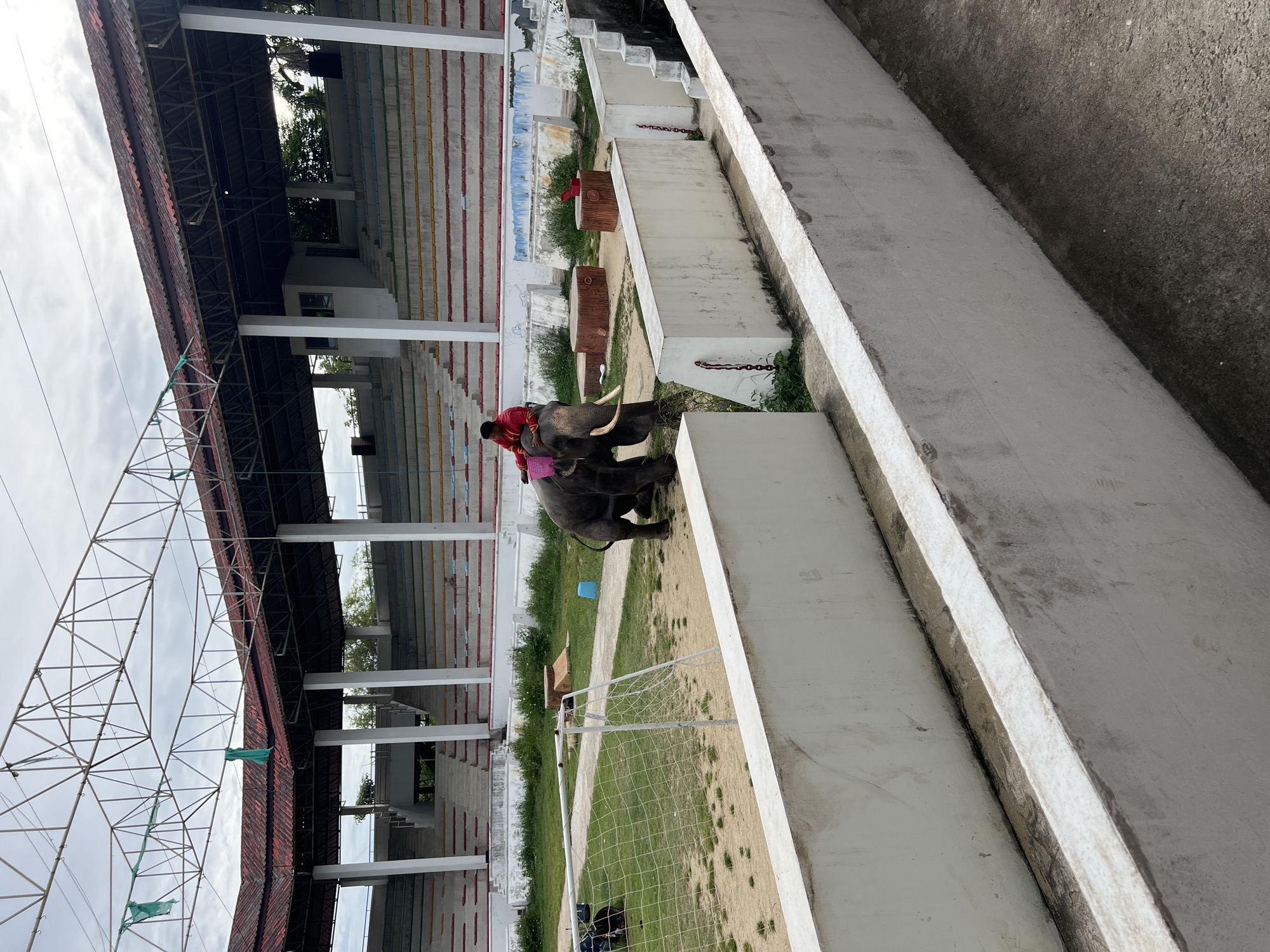 An elephant with a rider in a red shirt is positioned in a sandy enclosure with a soccer goal in the foreground. The elephant is facing left, with its tusks visible. Behind the enclosure, a tiered seating area with a red-roofed canopy is visible. The scene appears to be an outdoor arena, possibly in the city of Bang Pu Subdistrict Municipality, Thailand, given the presence of a stadium-like structure and the tropical vegetation. The sky is overcast.