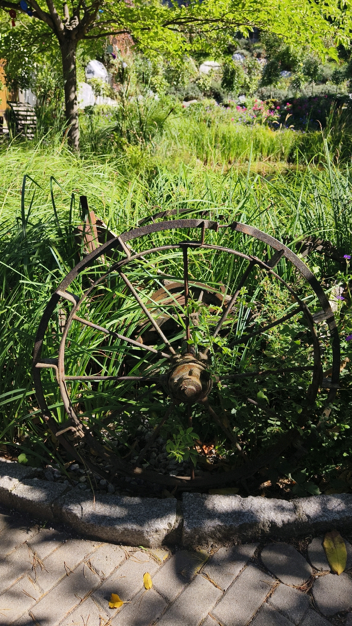 A weathered, rusty metal wheel rests amidst tall, green grass in a garden. The wheel, with its intricate spokes and central hub, appears to be an antique piece, possibly from a farm implement or cart. The background reveals a lush garden setting with various plants and trees, bathed in sunlight. The foreground shows a paved walkway bordered by stone edging, with fallen leaves scattered on the pavement. The scene evokes a sense of rustic charm and the passage of time. This photograph was taken in Langenlois, Austria.