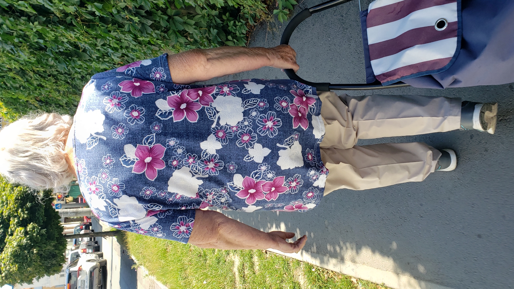 An elderly woman with white hair is walking away from the camera on a paved sidewalk. She is wearing a blue short-sleeved shirt with a floral pattern of pink and white flowers, and light brown pants. She is holding the handle of a blue shopping trolley with striped fabric that has maroon and white stripes. The trolley is to her right. To her left is a grassy verge with a few sparse weeds. Beyond the verge is a road with several cars, including a white SUV. On the right side of the sidewalk is a dense green hedge. The scene is outdoors and appears to be during the daytime, with sunlight casting shadows. The image was captured in the city of Prešov, Slovakia.