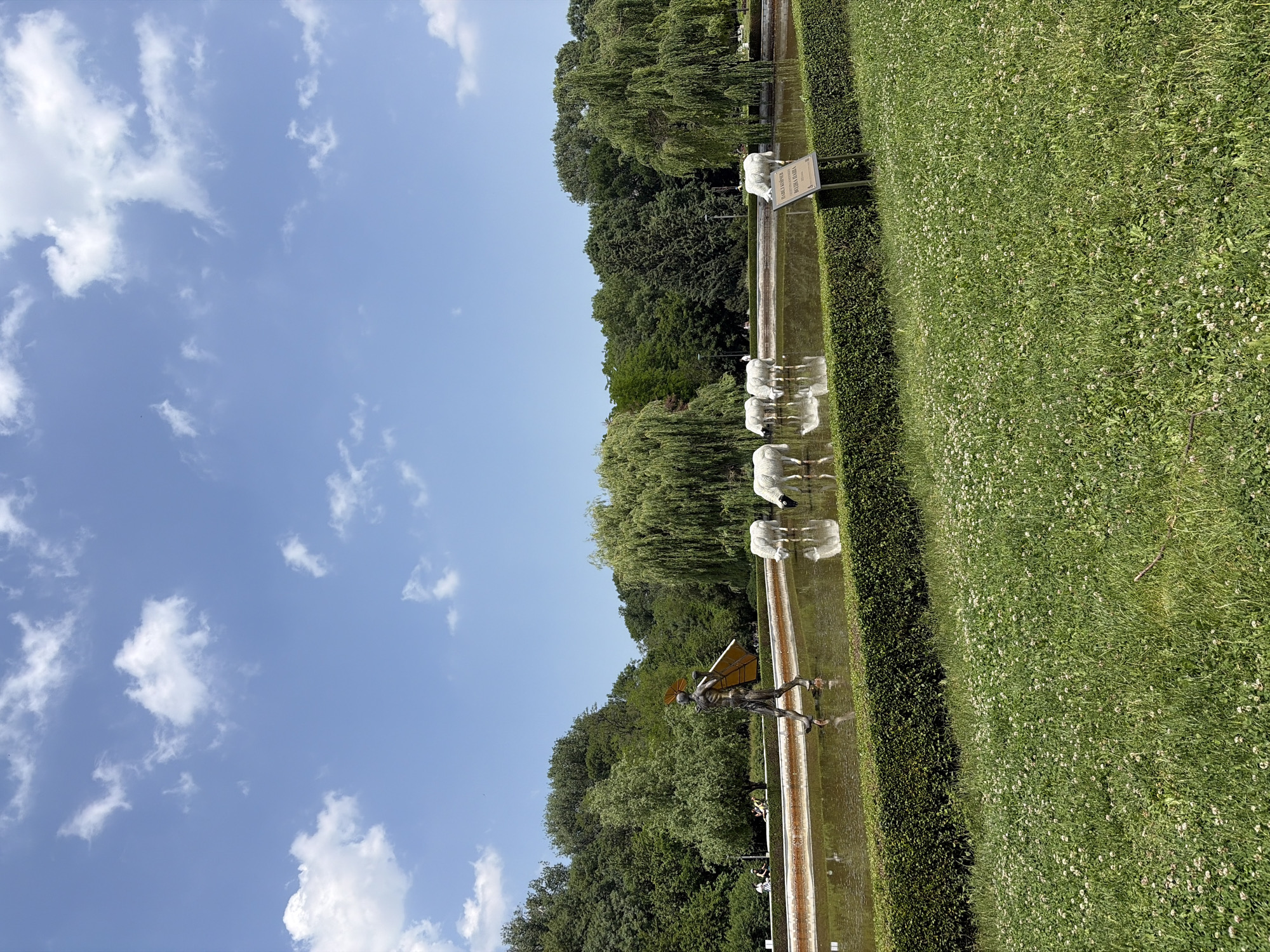 The image captures a sunny daytime scene within Borisova Gradina (Boris' Garden) in Sofia, Bulgaria, showcasing a rectangular pond with contemporary art installations. The upper third of the frame consists of a clear blue sky with scattered white cumulus clouds.
In the midground, a long, placid pond with brownish-green water stretches horizontally. On the left side of the pond, a bronze-colored, gaunt human-like sculpture is depicted walking through the shallow water, carrying a large, angular, golden-yellow structure on its back, creating subtle ripples. To the right, five white, life-sized sculptures of cows stand partially submerged in the pond, with their heads lowered as if drinking, their forms reflected distinctly on the water's surface. A small, brown rectangular sign with white Cyrillic text, partially legible as "ПАМЕТНА МЕРИДИАНА" (Memorial Meridian), stands upright on the right bank, bordering the pond.
The pond is edged by a precisely trimmed, dark green hedge. Below the hedge, in the foreground, a verdant lawn densely populated with small white wildflowers, primarily clover, extends towards the viewer. The background features a thick line of various green trees, including several prominent weeping willows whose branches gracefully drape towards the water. In the far left background, several blurry human figures are visible among the trees, suggesting park visitors. The scene is brightly lit by natural sunlight, casting clear illumination over the landscape.