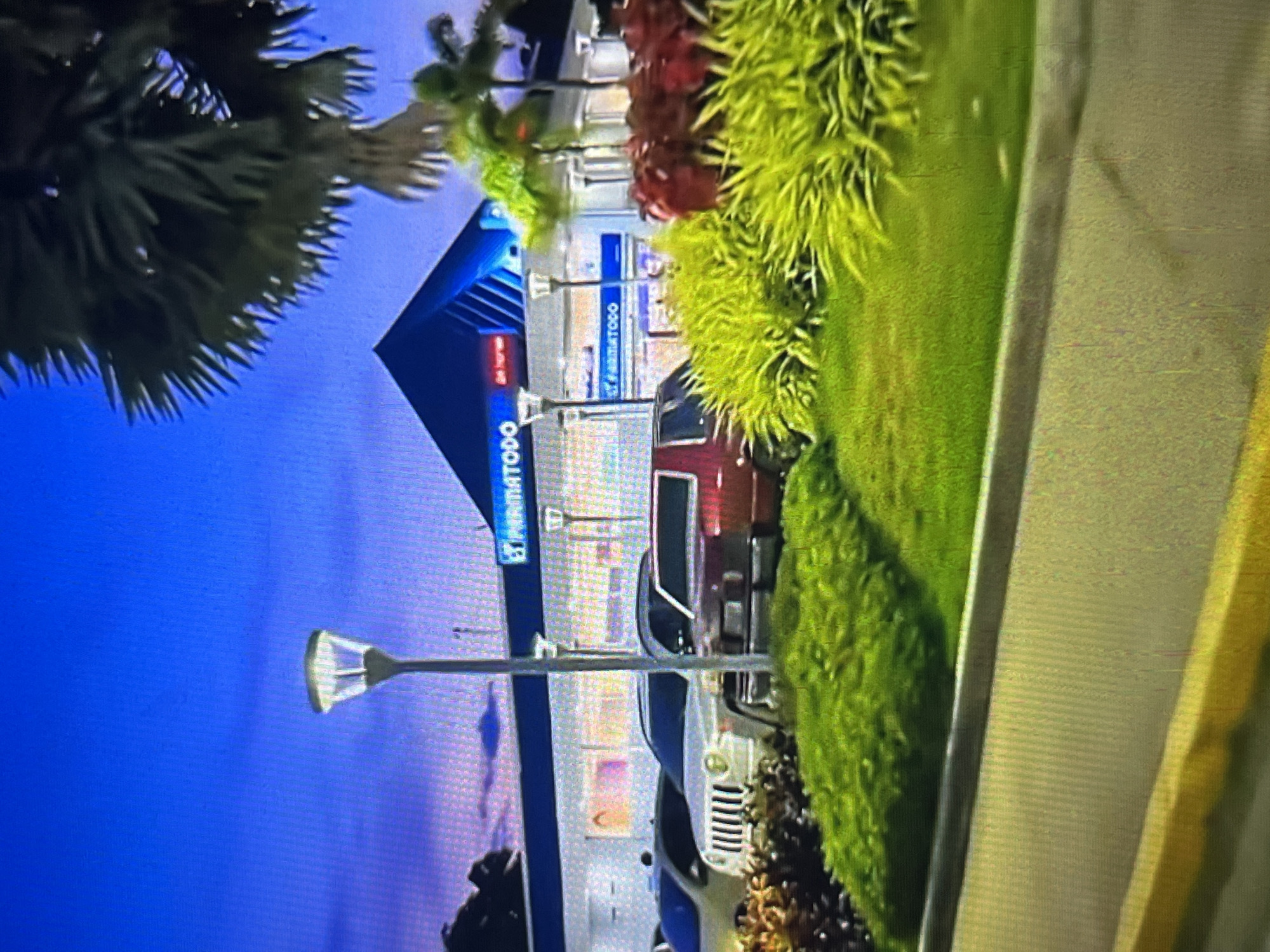 The image shows a street scene in Tinaquillo, Venezuela. A Farmatodo store is visible, along with several vehicles parked nearby, including a red SUV and a white Jeep. There is landscaping with green foliage and red flowers near the street. A streetlamp is present, and a palm tree is visible in the upper left corner. The sky is blue.