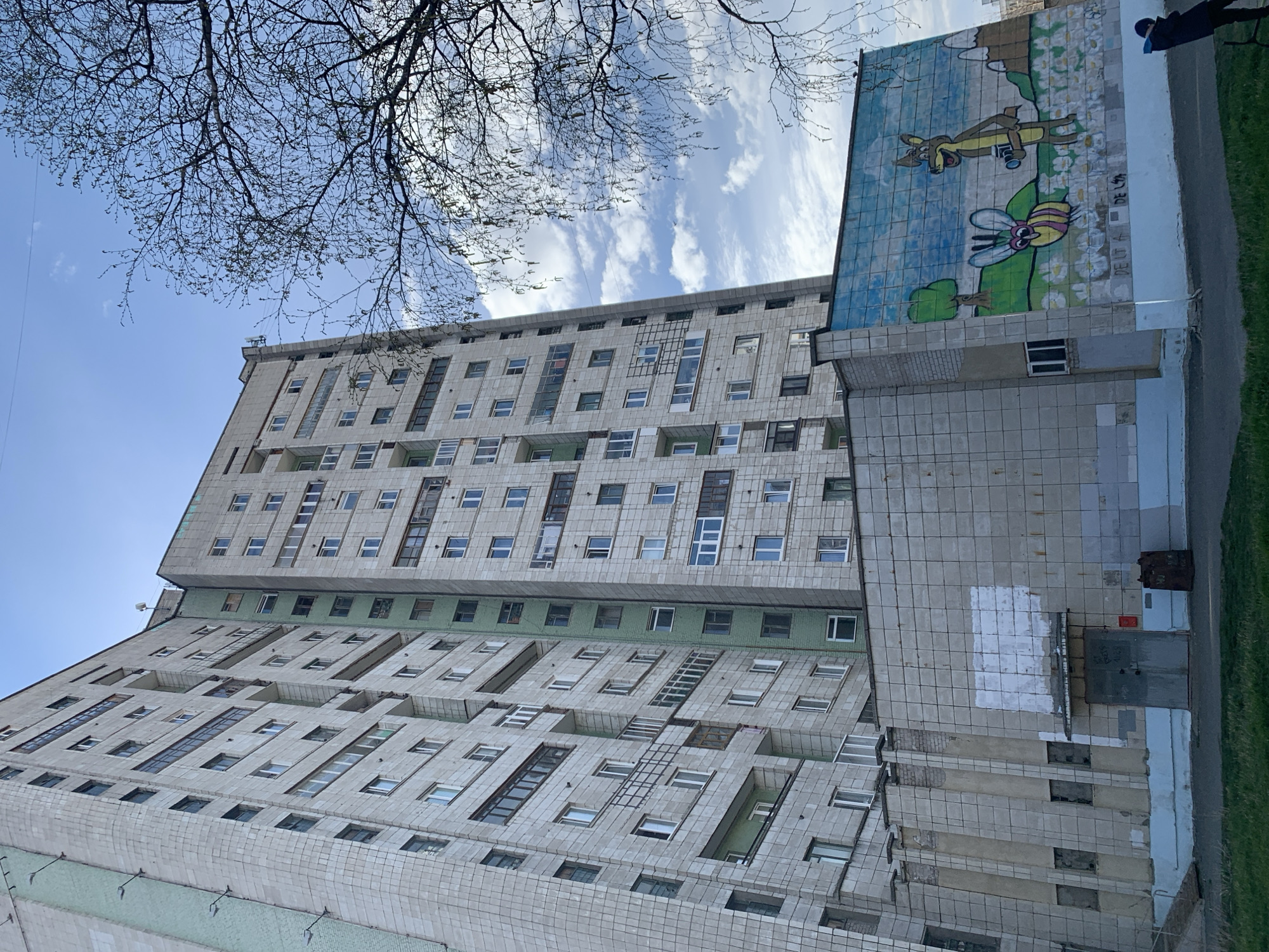 A low-angle, daytime shot captures a multi-story building. The building's facade has a tiled surface, and many windows are visible. The tiles seem to have slight green hue, particularly on some sections. A mural is painted on the building's right side. It depicts animated animal characters. The sky is a light blue with scattered clouds, partially obscured by branches from a tree in the upper-left corner. A person is seen in the top right corner. The building is in Severodvinsk, Russia.