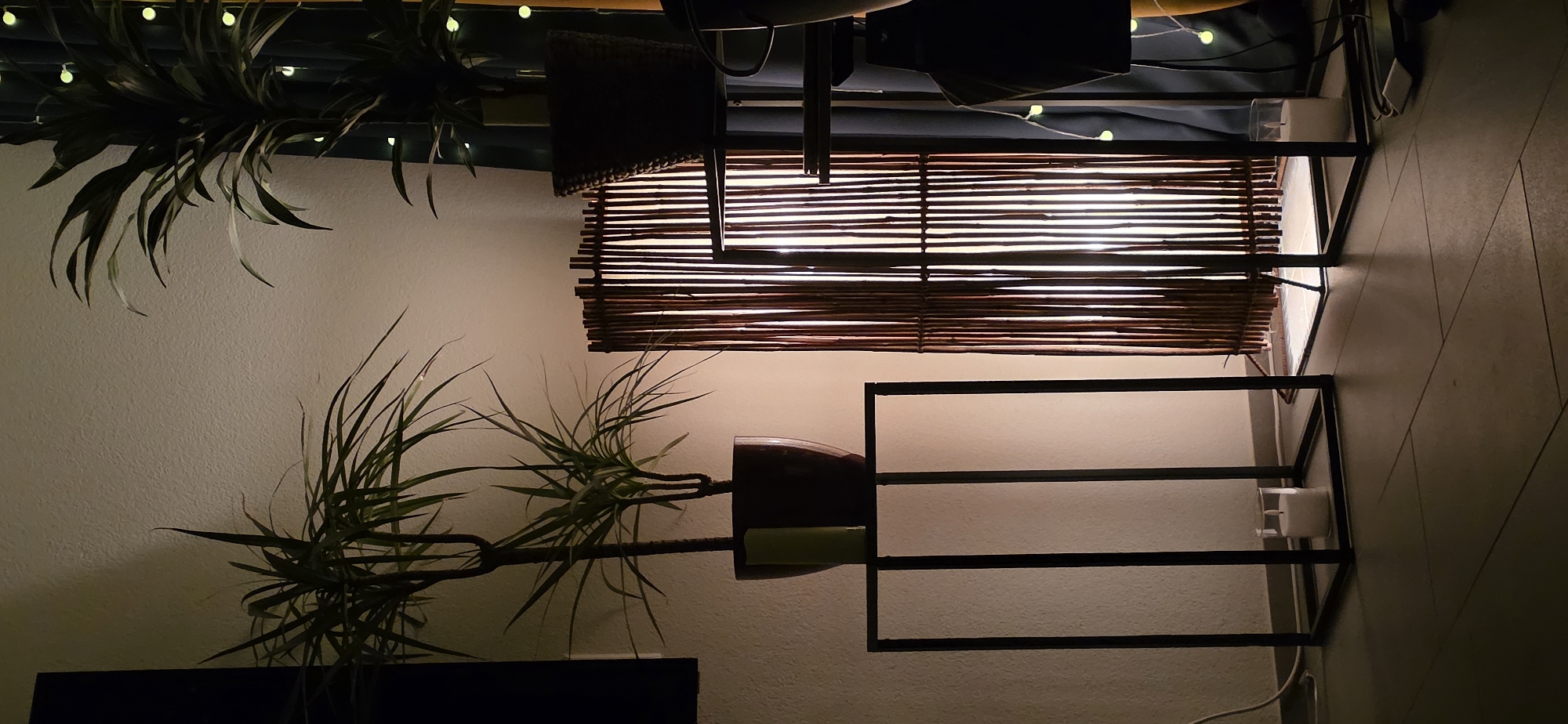 The image depicts a dimly lit interior scene, likely a living room or study, in Lieli, Switzerland. The focus is on a collection of indoor plants, a floor lamp, and decorative elements.
On the left, a tall, slender potted plant with long, spiky leaves stands on a black, minimalist metal stand. A lime green cylindrical object, possibly a candle or decorative piece, is placed next to the plant's pot on the stand. The pot itself is dark and oval-shaped.
To the right of this plant, a floor lamp with a cylindrical shade made of vertical bamboo or wood slats is illuminated from within, casting a warm glow. The lamp sits on the floor.
Further to the right, another potted plant with broad, dark green leaves is partially visible, situated on a black metal shelf unit. This plant is in a dark, woven pot. A string of small, glowing green lights is draped behind this plant and curtain.
In the foreground, on the floor in front of the metal stand and the bamboo lamp, are two clear glass cylinders, each containing a white pillar candle. One candle is positioned near the base of the metal stand, and the other is near the base of the bamboo lamp.
The overall ambiance is one of cozy, ambient lighting, with the warm glow of the lamp and candles contrasting with the darker tones of the plants and furnishings. The background wall appears textured and is lit by an unseen light source, creating subtle shadows.