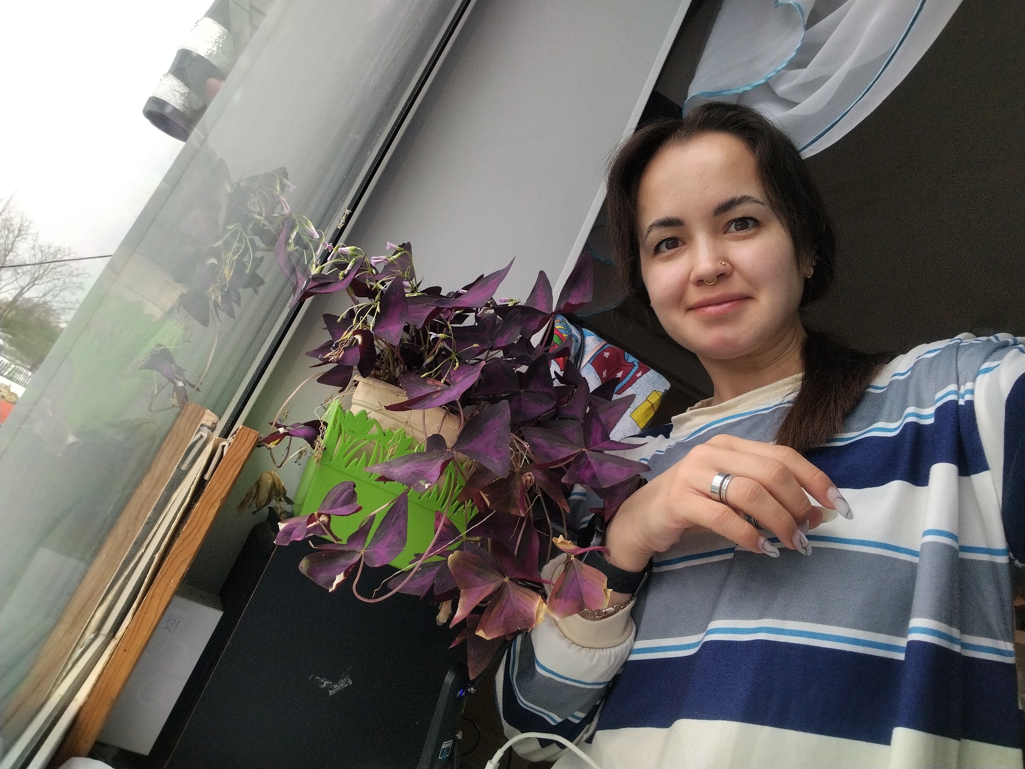 A selfie photograph depicts a woman with dark hair and fair skin, adorned with a nose ring. She is wearing a striped, long-sleeved shirt with a combination of blue, grey, and white hues. A ring is visible on her left hand.
A plant with deep purple, clover-like foliage sits adjacent to her, its container being green. The plant is located on what appears to be a dark surface, possibly a shelf or table.
Behind the plant and to the left of the woman is a window. The exterior view seen through the window is indistinct, suggesting an urban or suburban environment during the daytime, possibly cloudy conditions.
There is no other information discernible to identify this scene with the city of Большая Уса, Russia.