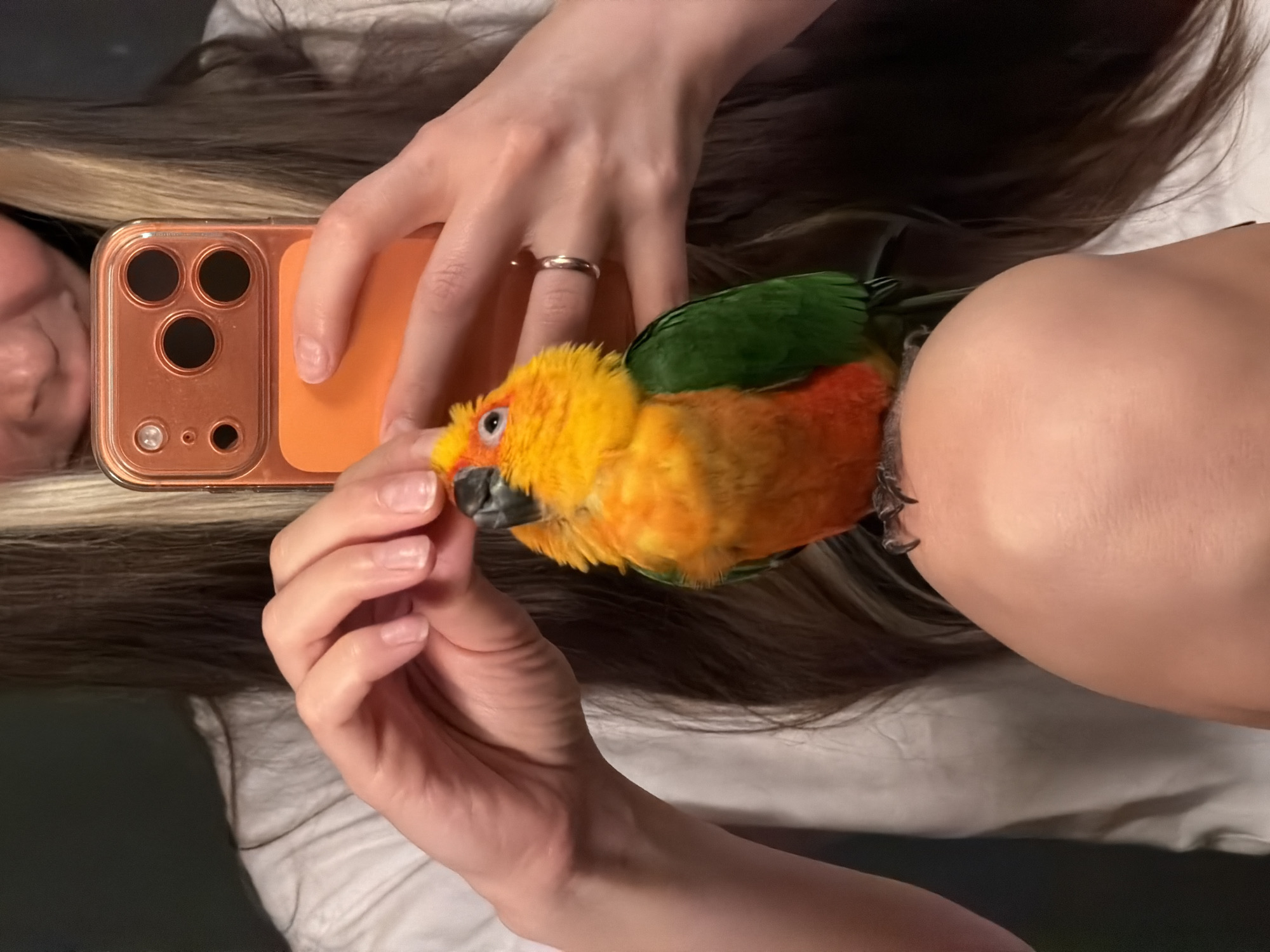 In the provided image, a person is holding a smartphone and interacting with a small parrot perched on their knee. The parrot is colorful, with yellow, orange, and green plumage. The person's hands are visible, with one hand holding the phone and the other gently touching the parrot. The environment appears to be indoors, with the person wearing a white t-shirt. The background is dark and indistinct. The image is a close-up shot, focusing on the interaction between the person, the parrot, and the smartphone. There is no indication of the city of Khimki, Russia, or any other specific location within the image.