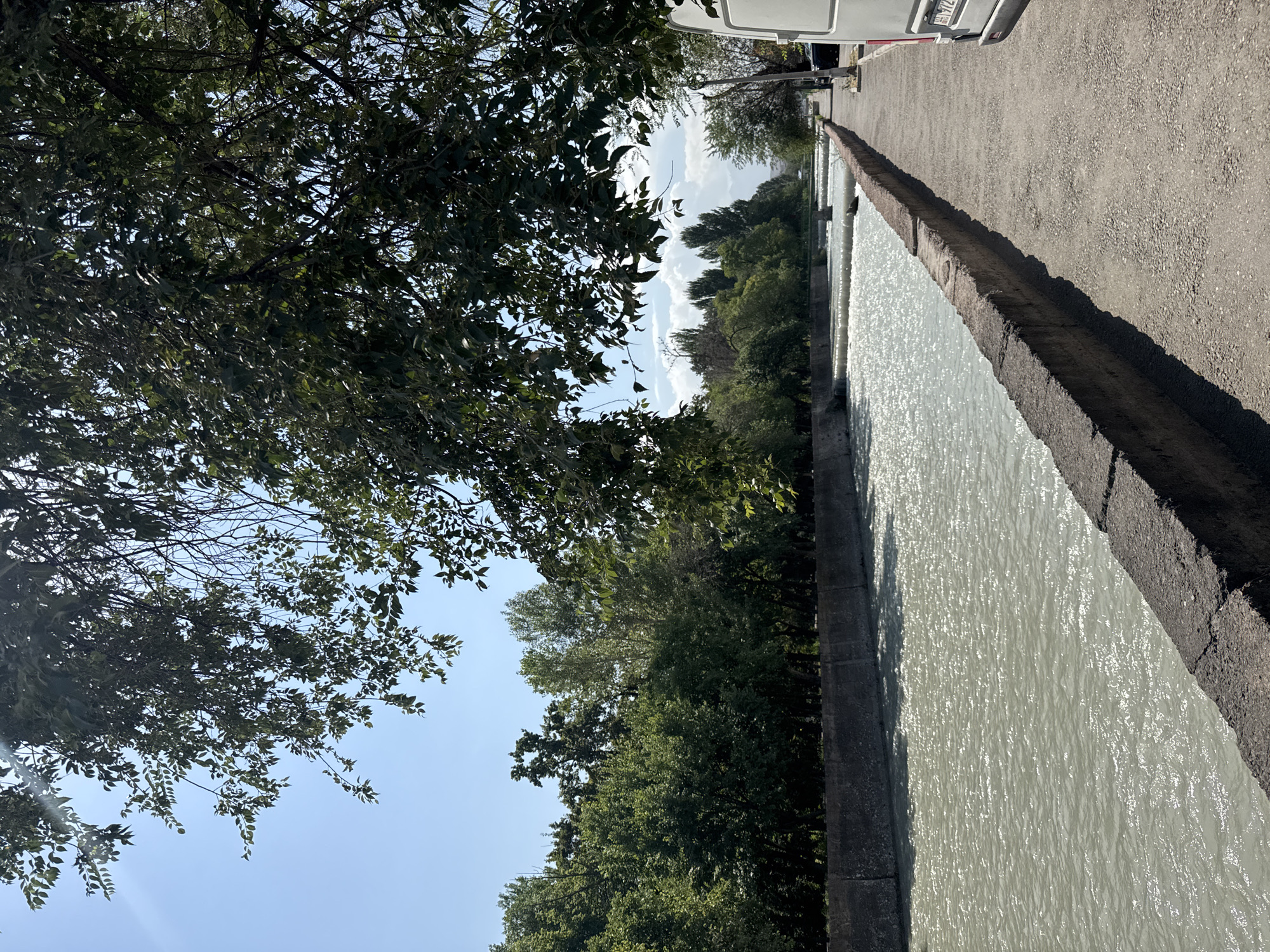 A wide, grey, fast-flowing river runs through a concrete channel lined with a stone embankment and a paved walkway. Lush green trees and foliage line the opposite bank of the river, creating a natural barrier. The walkway is partially shaded by the branches of a large tree in the foreground. A white van is parked on the right side of the walkway, partially obscuring the view of the road behind it. The sky is clear and blue, with a few scattered white clouds. The scene suggests a park or a scenic area within a city, likely Bishkek, Kyrgyzstan, given the visual context.
