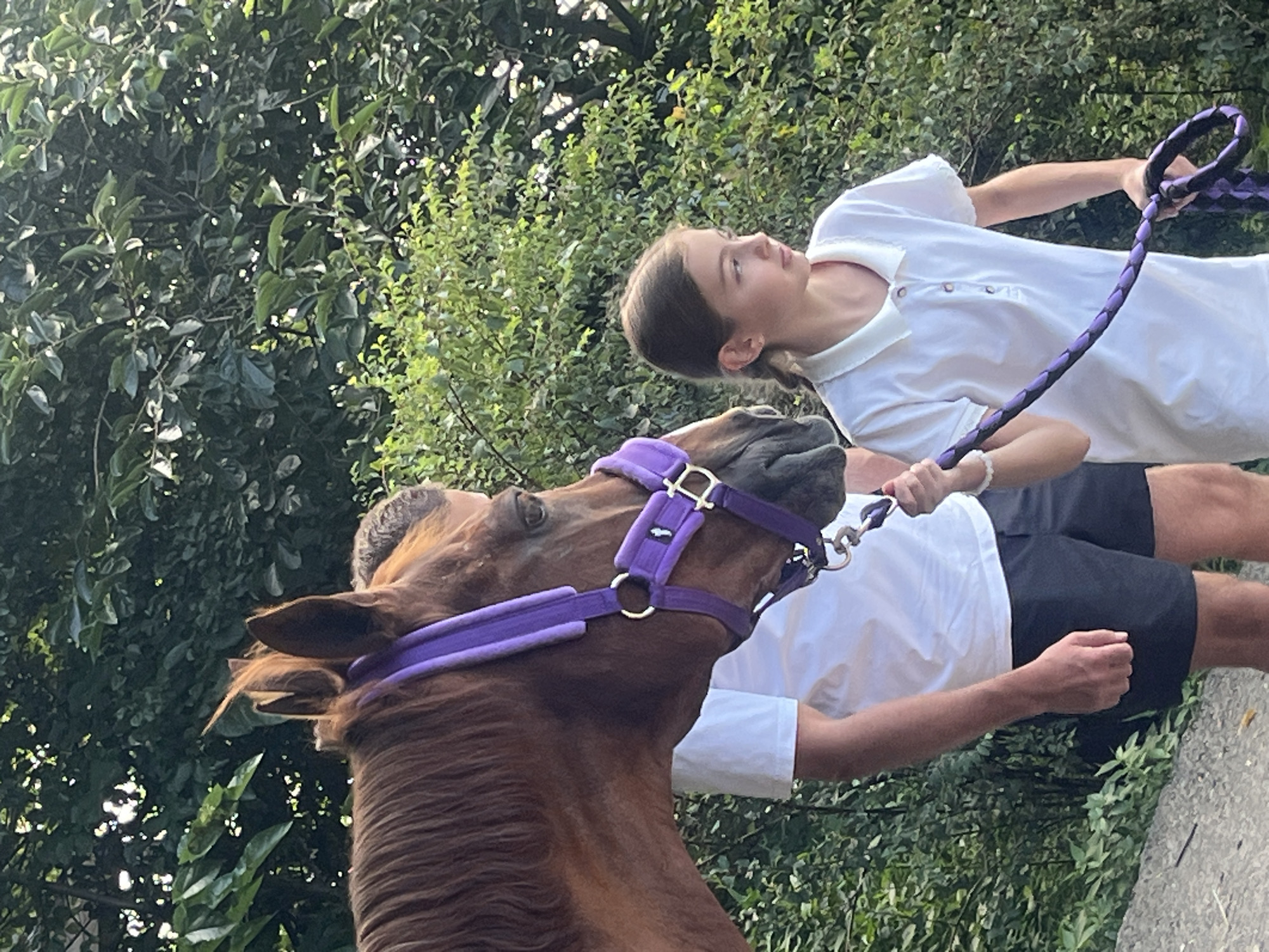 An outdoor, medium shot captures a young girl and a horse in what appears to be a natural setting with abundant greenery. The horse, a chestnut color, is on the left side of the frame, wearing a purple halter. Its head is turned to the right, showing its eye and part of its muzzle. A person, likely an adult male, is partially visible behind the horse, wearing a white t-shirt and black shorts. In the foreground on the right is a young girl, also wearing a white polo shirt. She is looking to her right and holding a braided purple lead rope. A hint of a stone or concrete embankment is visible in the lower left corner. The background consists of dense foliage, suggesting a park or wooded area. The scene does not contain any specific indicators of the city of Progress, Russia.