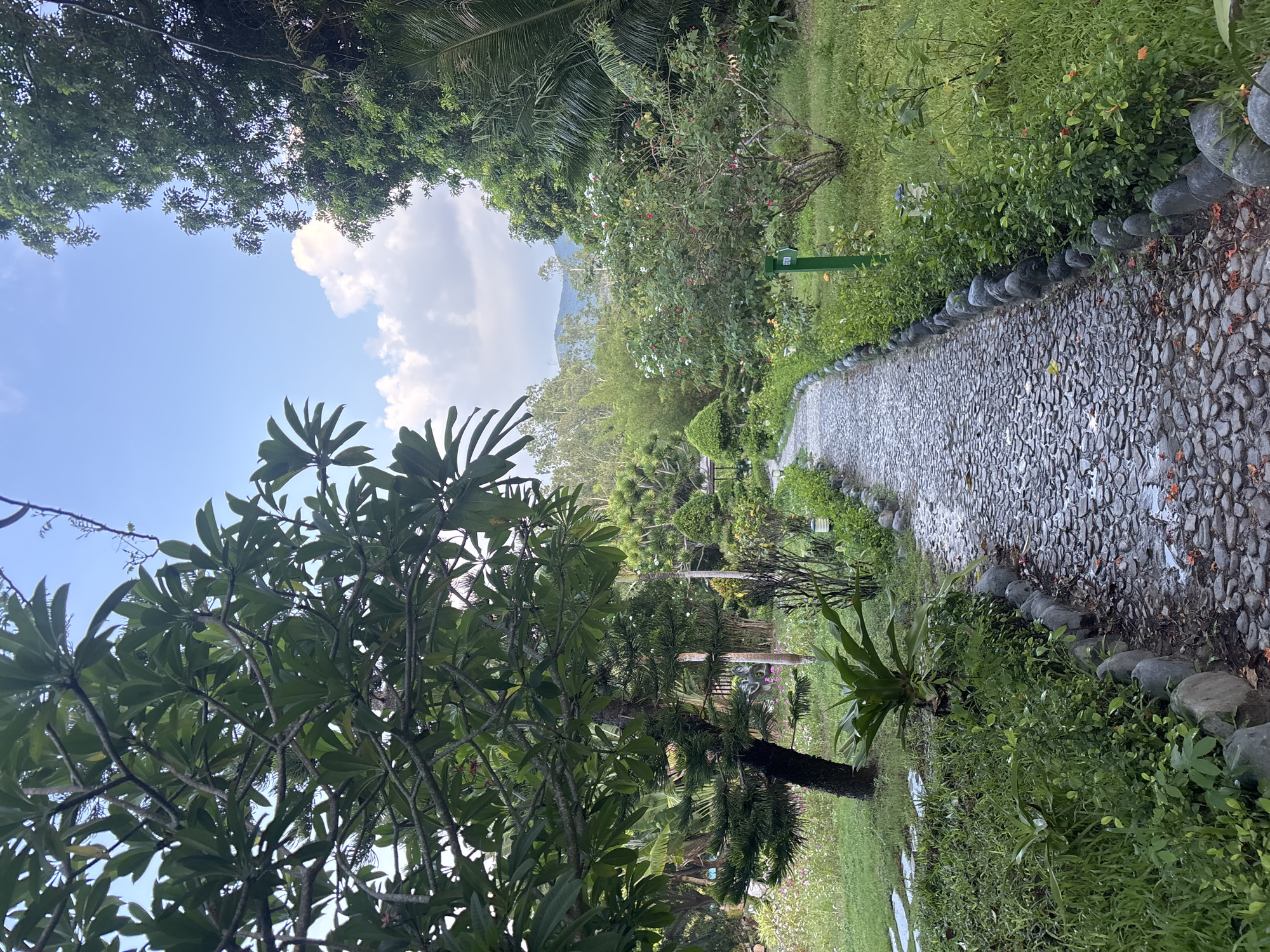 A stone-paved pathway curves through a lush, green garden under a bright, cloudy sky. Tall trees with dense foliage line the left side of the path, casting shadows on the ground. A variety of smaller plants and flowers, including blooming bushes with red and white flowers, are visible along the right edge of the pathway. In the background, more trees and distant hills can be seen. The ground is wet in places, with fallen orange petals scattered on the stones. There are no people or animals visible in the image. The scene appears to be an outdoor park or botanical garden.