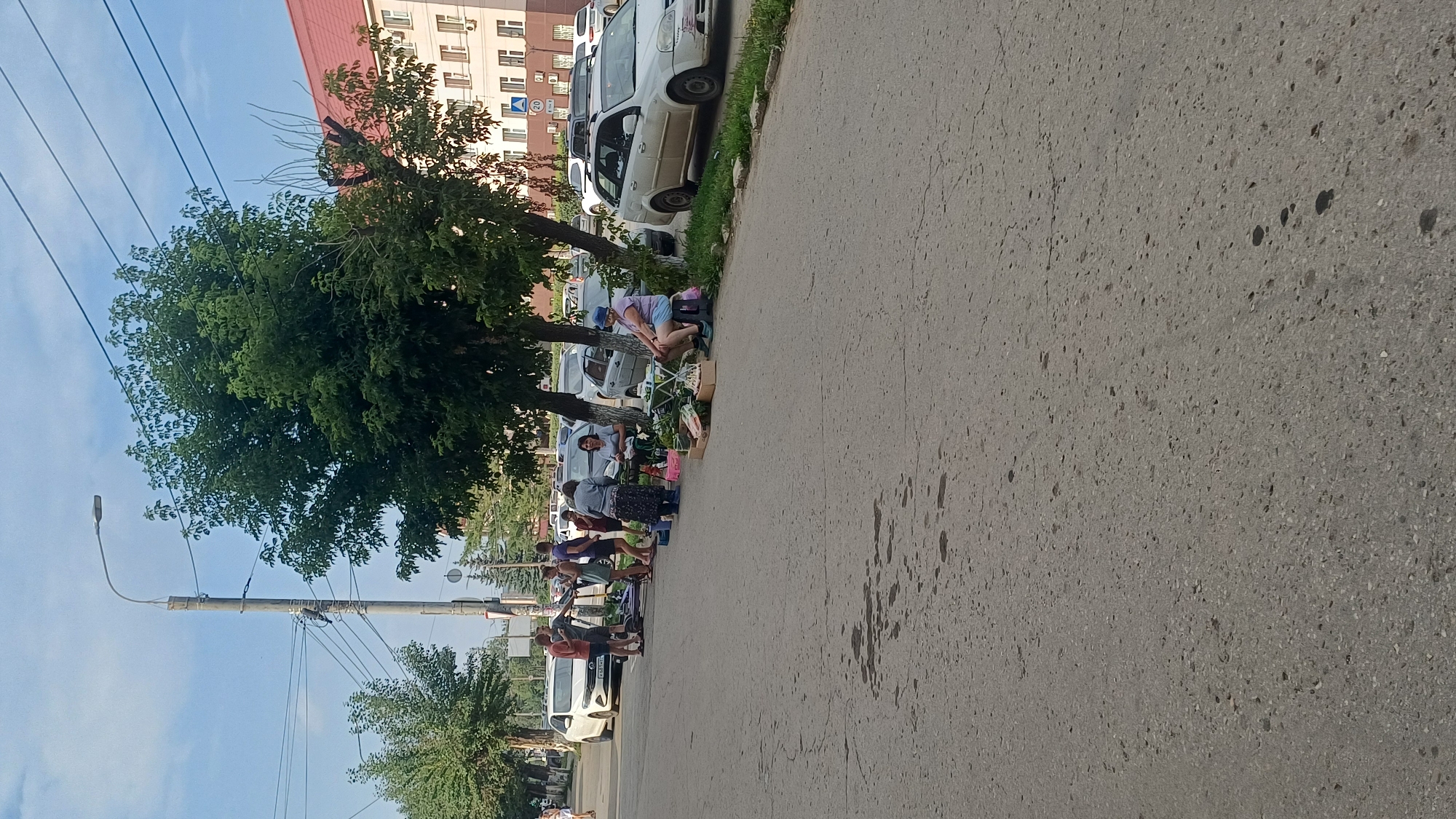 On a sunny day in Izhevsk, Russia, a group of people are gathered near the roadside, seemingly engaged in a small roadside market. The scene is captured from a street-level perspective, with the asphalt road occupying the foreground. Several cars are parked along the street, and on the side of the road, there are trees and some buildings in the background. A lamppost with overhead wires is also visible.
In the mid-ground, a few individuals are standing and conversing near a white car. To the right, a cluster of people are seated or standing around small tables or displays, suggesting they are selling goods, possibly fruits and vegetables. One woman is seated on a stool, and another is standing behind a table laden with produce. Another woman is standing, looking at items on a table. A few other people are visible in the background, walking or standing near their vehicles. The overall impression is a casual, daytime street scene with a local commerce activity taking place.