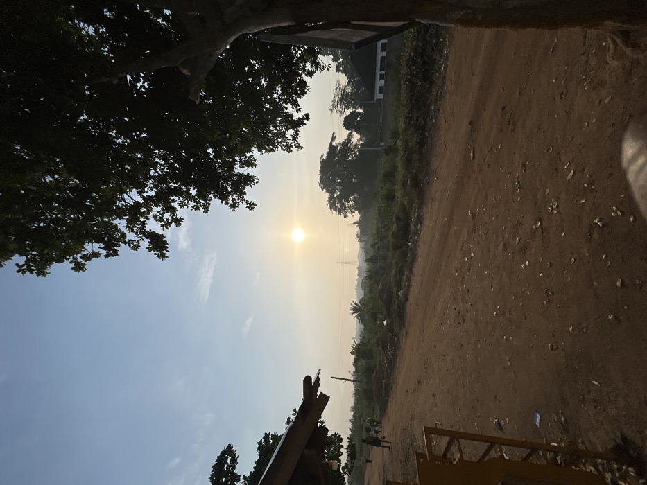 A landscape scene features a bright sun partially obscured by a hazy sky. Trees with dense foliage frame the top left. Buildings are seen through the branches, and utility poles are visible on the right. A dirt road, lightly littered with white objects, extends from the foreground towards the distant background. Vegetation lines the roadside, and a yellow metal structure is in the lower right corner of the image. The image is taken at an angle.