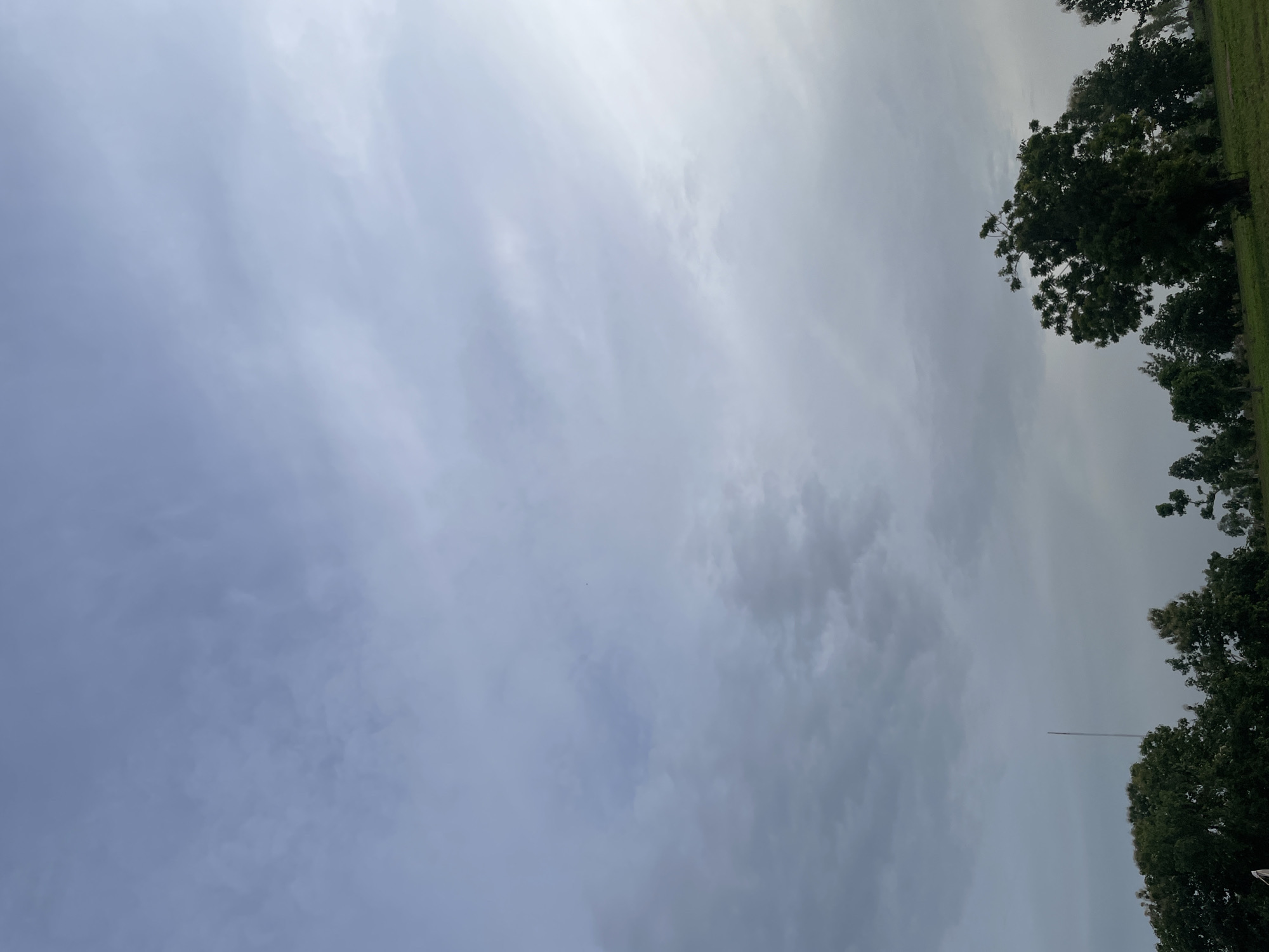 The image shows a landscape scene with a cloudy sky over a line of trees. A tall, slender pole is visible behind the trees on the left side of the frame. The sky is overcast with various shades of gray and blue, suggesting a cloudy day. The trees are dense and green, with some appearing taller than others. The ground in the foreground is covered in grass. There are no people or animals visible in the image. The scene appears to be an outdoor natural environment, potentially on the outskirts of a settlement given the pole.