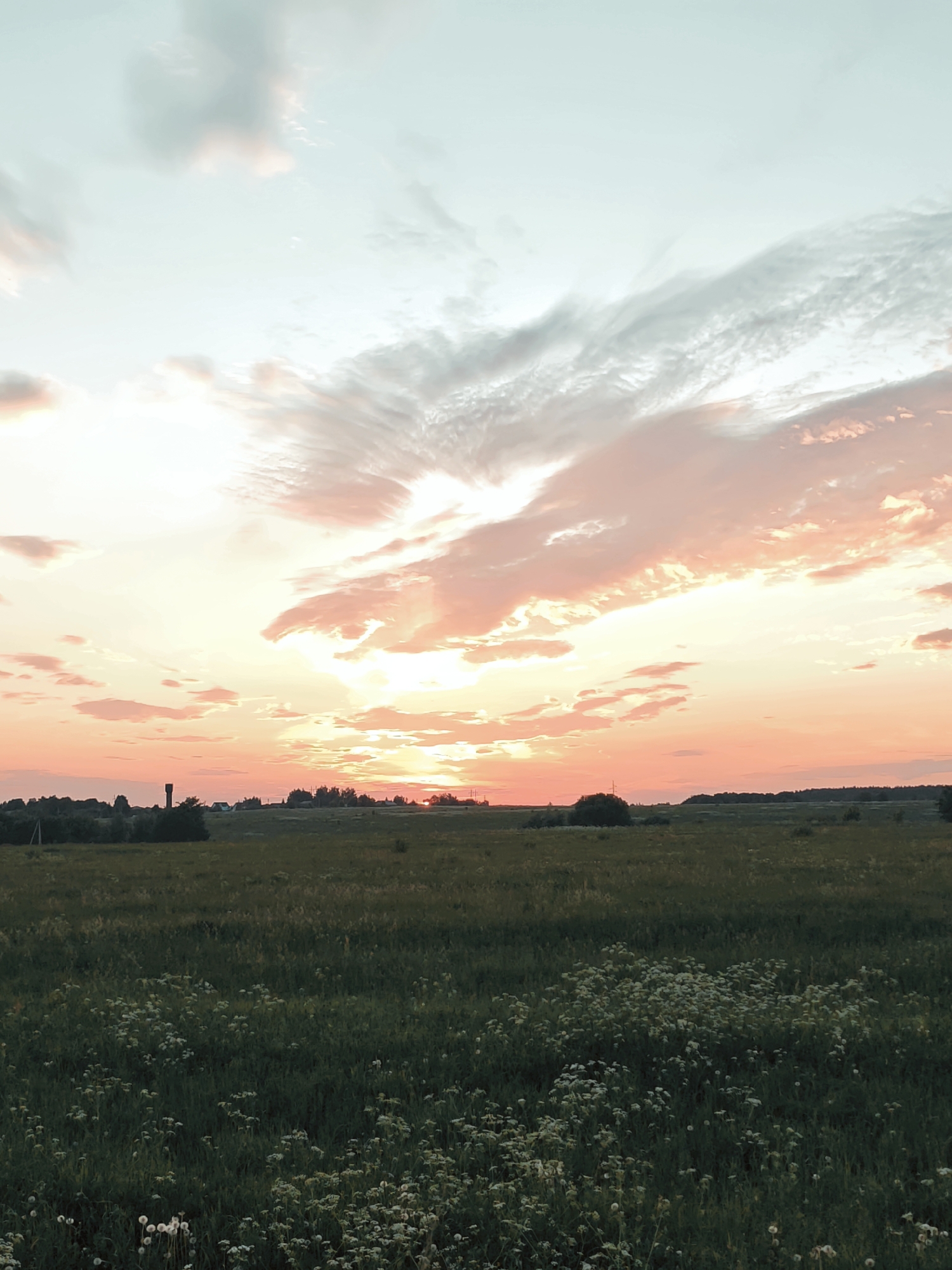 This is a vertical, eye-level shot of a rural landscape at dusk, possibly in or near the city of Kurkvo, Russia. The sky is filled with a dramatic sunset, featuring soft pink, orange, and pale blue hues, with wispy clouds stretching across the frame. The sun is a bright, almost white orb peeking through the clouds near the horizon.
The foreground is dominated by a dark green field, with patches of white wildflowers scattered throughout. In the mid-ground, a line of dark green trees and small buildings forms the horizon. A tall, slender, dark tower, resembling a water tower, stands prominently to the left of the frame, silhouetted against the bright sky. The overall mood is serene and peaceful.