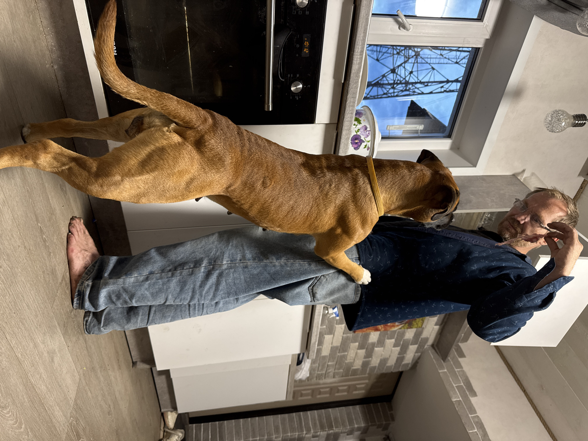 A man in a dark blue, patterned long-sleeved shirt and light blue jeans stands in a kitchen, holding a piece of food in his right hand. A medium-sized, brown dog with a yellow collar stands on its hind legs, with its front paws on the man's leg, looking up at the food. The kitchen has white cabinets, a white countertop, a black oven with a digital display showing 10:12, and a window overlooking an outdoor structure, possibly a power line tower, against a blue sky. The flooring is light wood. The overall scene suggests an indoor domestic environment. The location in Chaikovsky, Russia, is not directly determinable from the visual elements of the image.