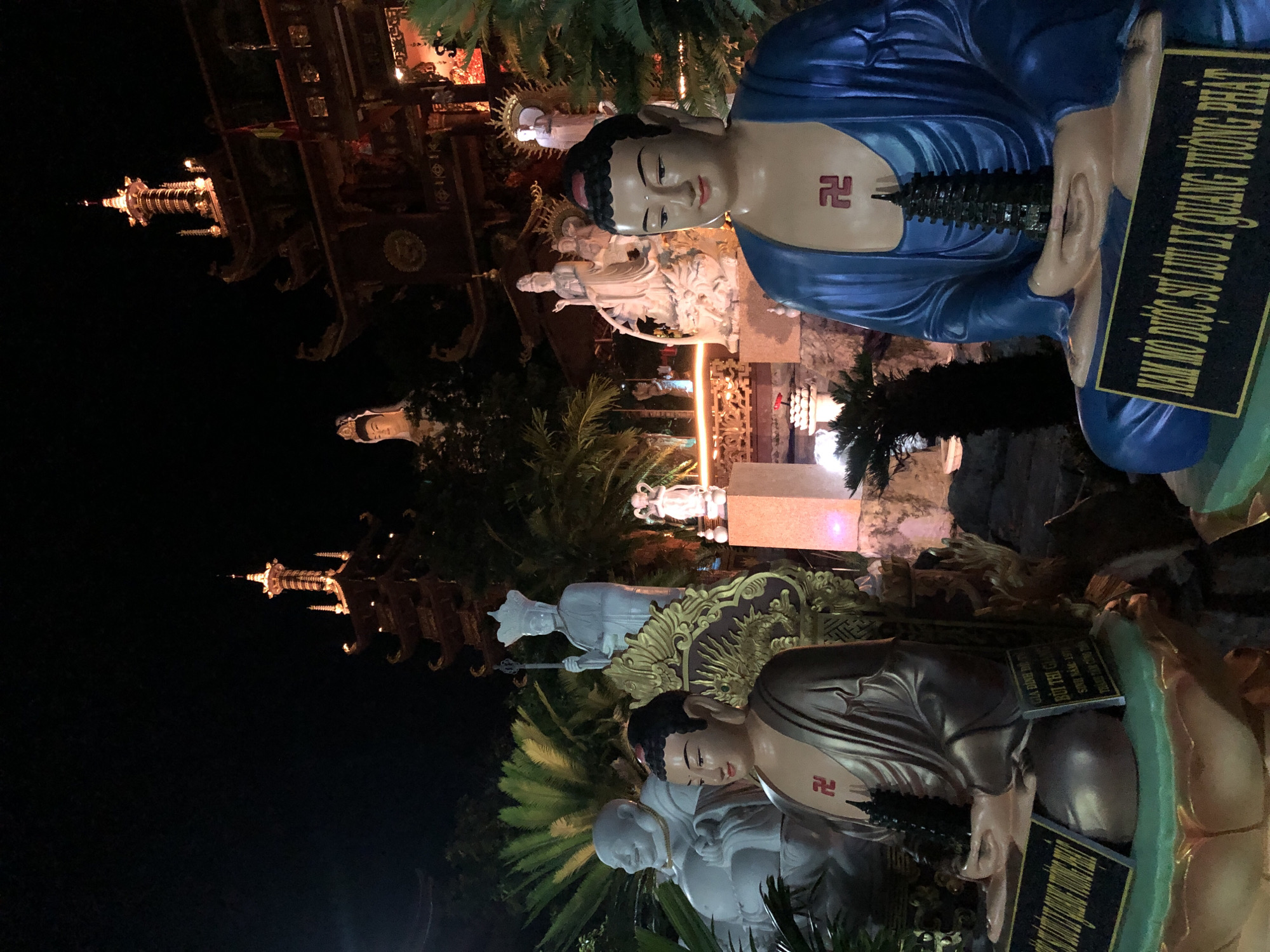 This is a nighttime photograph of outdoor statues, likely at a temple or religious site in Mũi Né, Vietnam. The primary subjects are large Buddha statues, one in a bright blue robe and another in a metallic bronze robe, both depicted in a seated meditation pose. Both statues have a swastika symbol prominently displayed on their chests, a symbol of good fortune and well-being in Buddhism. Between the hands of the blue-robed Buddha is a miniature pagoda.
In the background, other statues and architectural elements of the site are visible, illuminated by artificial lights. These include smaller white statues of figures in contemplative poses and decorative structures that appear to be pagodas or temple buildings, some with intricate carvings and golden accents. Lush green palm trees and foliage surround the statues, suggesting a tropical setting.
The lighting suggests it is nighttime, and there are no indicators of specific weather conditions. The overall mood is one of serenity and reverence, characteristic of a religious monument.
Visible text on a plaque held by the blue-robed Buddha reads: "GIA ĐÌNH ĐỂ TỪ BÙI THỊ GIANGE SINH NĂM: 197 THÀNH TÂM CÚNG T 卍". This text appears to be an inscription or dedication. The repetition of the swastika symbol on the plaque reinforces its religious significance.