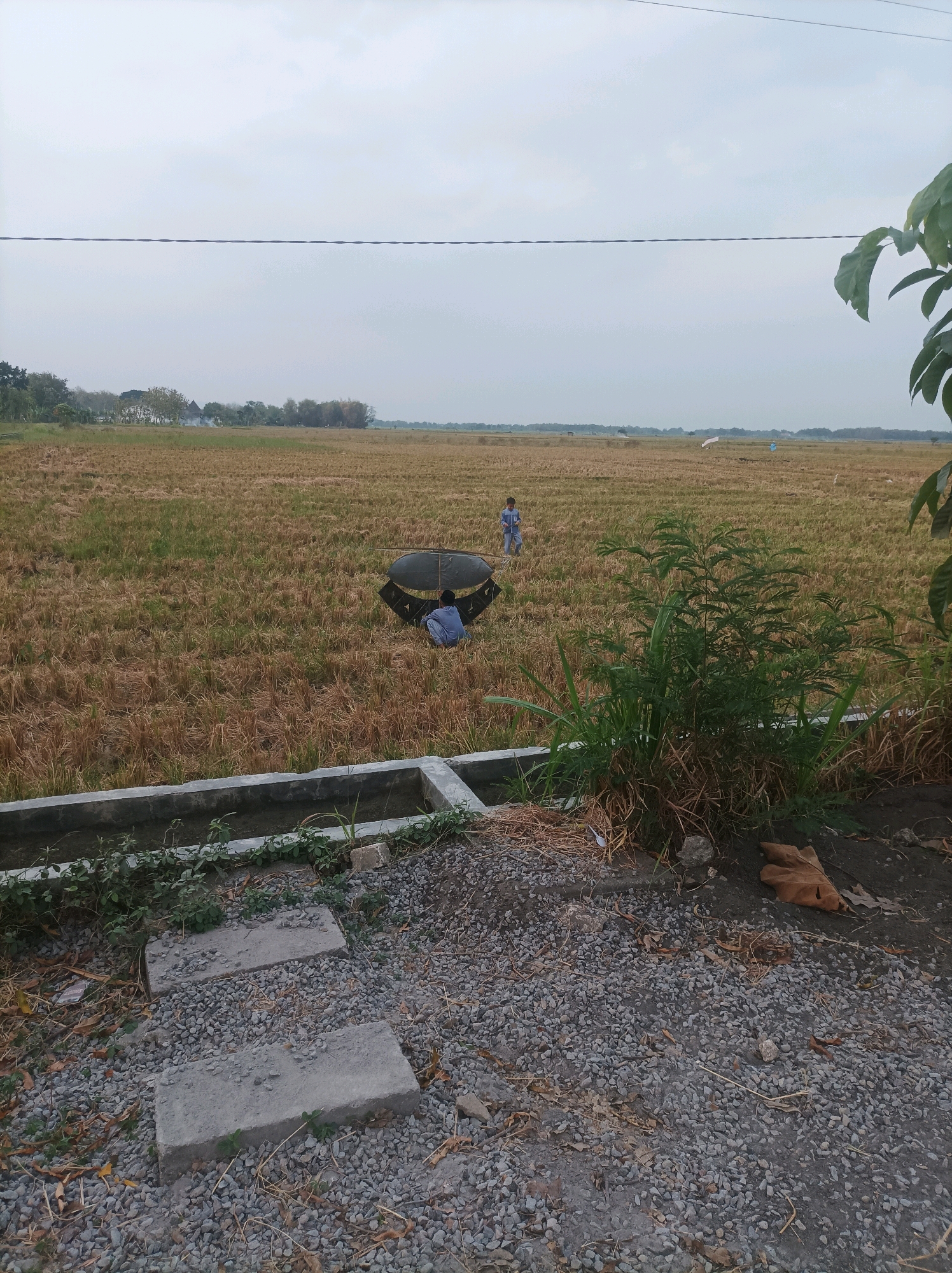 In the city of Canga'an, Indonesia, a wide, flat field of harvested rice stubble stretches towards the horizon under an overcast sky. Two individuals are present in the field. One, a young boy wearing a blue shirt and pants, stands to the left, facing away from the camera. To the right, slightly closer to the foreground and also facing away, another person, possibly a child, is crouched down next to a large, dark, kite-like object made of what appears to be fabric and poles. This object is partially open, revealing a dark interior. In the foreground, a concrete drainage channel runs horizontally across the image, bordered by gravel and scattered dry leaves and twigs. A few large, flat concrete slabs are laid on the gravel in the lower left of the frame, serving as stepping stones. Lush green foliage, including tall grasses and a leafy shrub, grows along the edge of the drainage channel and the gravel area. In the distance, several scattered white objects, possibly scarecrows or flags, dot the field. A single dark horizontal line, likely a power line, stretches across the upper portion of the sky.