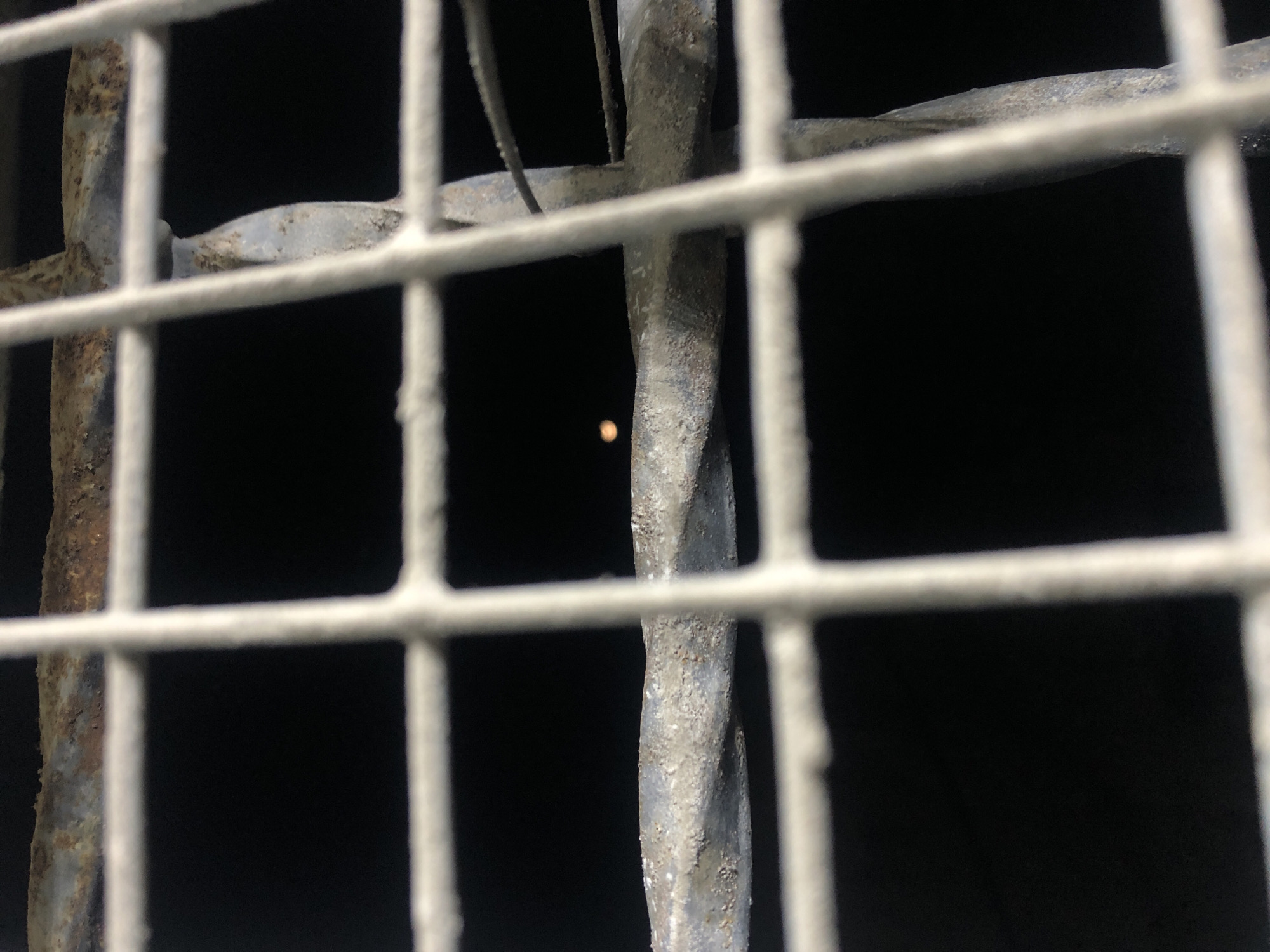 A close-up shot shows a gray metal grid or grate against a dark background, seemingly outdoors. A small, out-of-focus orange light is visible through one of the grid openings. The metal has a rough texture, possibly due to rust or weathering. The location in Juan Griego, Venezuela, cannot be definitively determined from the image.