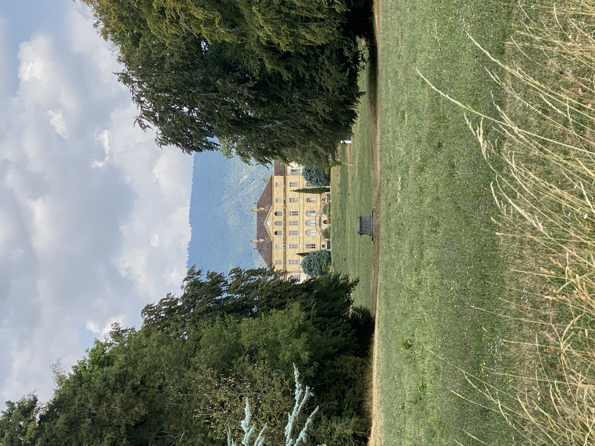 An outdoor, eye-level shot presents a grand, yellow, multi-story building in the distance, framed by two large trees on either side of the composition. The building, with a red-tiled roof and numerous windows, sits on a slightly elevated lawn. In front of the building, several manicured, dark green trees are visible. Closer to the foreground, a wide expanse of green grass dotted with small purple and white flowers stretches across the scene. Tall, dry grass stalks sway in the foreground. A dark, stone structure, possibly a monument or fountain, is centrally located in the grassy area between the trees and the building. In the far distance, a hazy, blue mountain range forms the backdrop under a cloudy sky. The scene appears to be an estate or park.