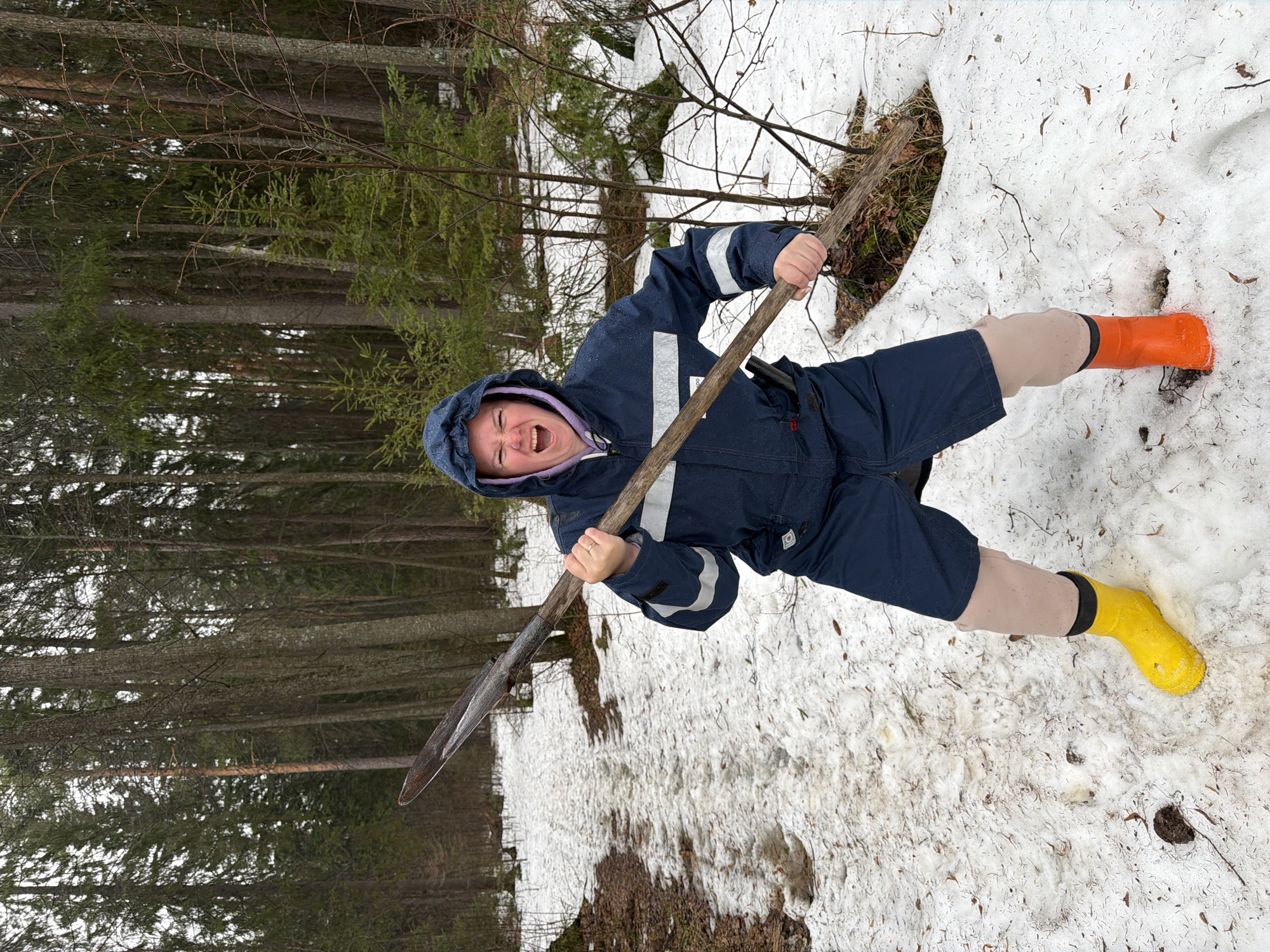 A person in a blue snowsuit with reflective stripes and colorful boots stands in a snowy, forested area in what is likely Chaikovsky, Russia, as the city is known for its dense forests and snowy climate. The person holds a long wooden-handled shovel with a metal blade. The ground is covered in snow and patches of brown foliage. The person is making a face, possibly feigning effort or frustration, and appears to be angled as if they are pushing the shovel into the ground. One foot is in an orange boot, and the other is in a yellow boot. Trees are in the background.