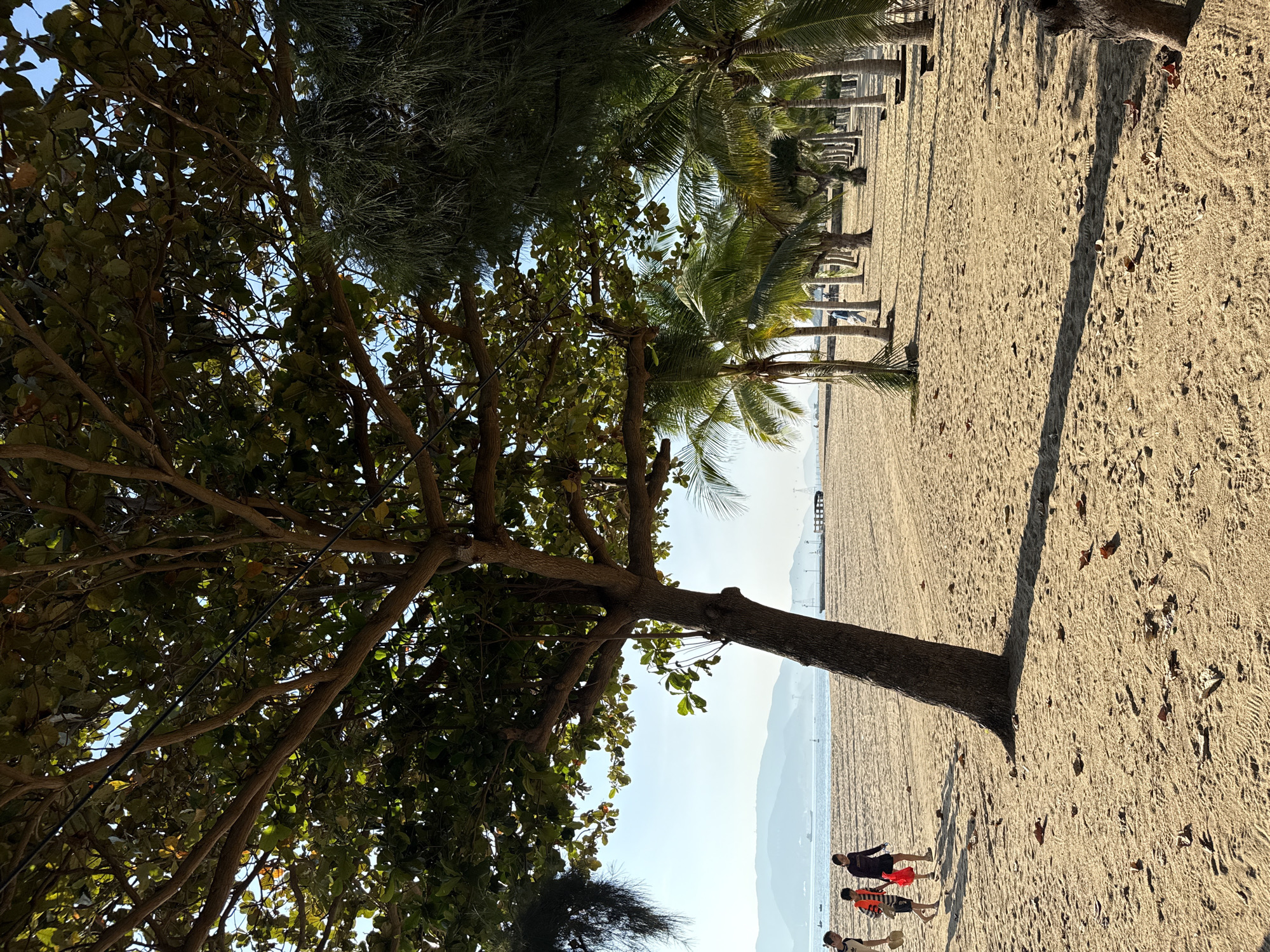 The image depicts a sunny day on a sandy beach in Nha Trang, Vietnam. In the foreground, a large tree with lush green leaves casts a shadow across the sand. Several people are walking on the beach in the mid-ground. On the left, two children and an adult are walking towards the camera, with the children in brightly colored clothing. Further back, a line of palm trees flanks the beach, with a few scattered along the sandy expanse. In the distance, the calm ocean stretches out, meeting a hazy horizon with mountains. A pier or jetty extends into the water, and a ship is visible in the far distance. The sand is marked with footprints, indicating recent activity. The overall scene is serene and evokes a relaxed beach atmosphere typical of coastal Vietnam.
