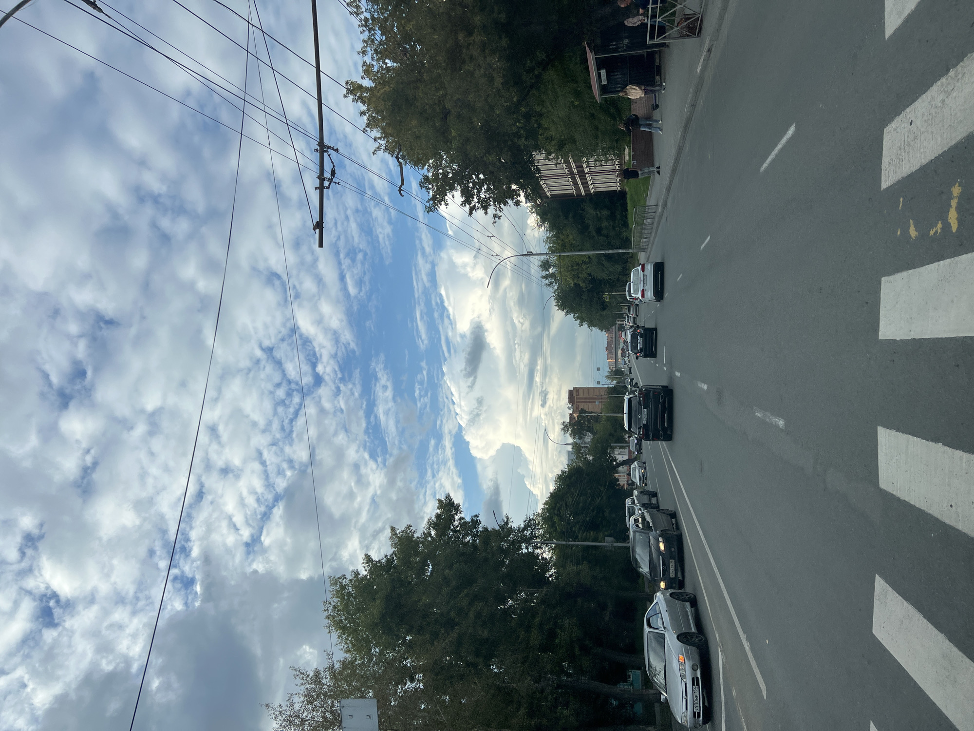The image depicts a street scene in Novosibirsk, Russia, under a partly cloudy sky with cumulus clouds. A road with multiple lanes of traffic runs through the center, bordered by trees on either side. Several cars are visible on the road, including a silver coupe, a black sedan, and an SUV. A pedestrian crossing with white stripes is prominent in the foreground. On the right side of the road, a bus stop shelter is present, with a few people standing nearby. Overhead, numerous power lines crisscross the sky, suggesting an urban environment. In the distance, buildings and streetlights are visible, further indicating the location is within a city. The overall atmosphere suggests a typical day in an urban setting.