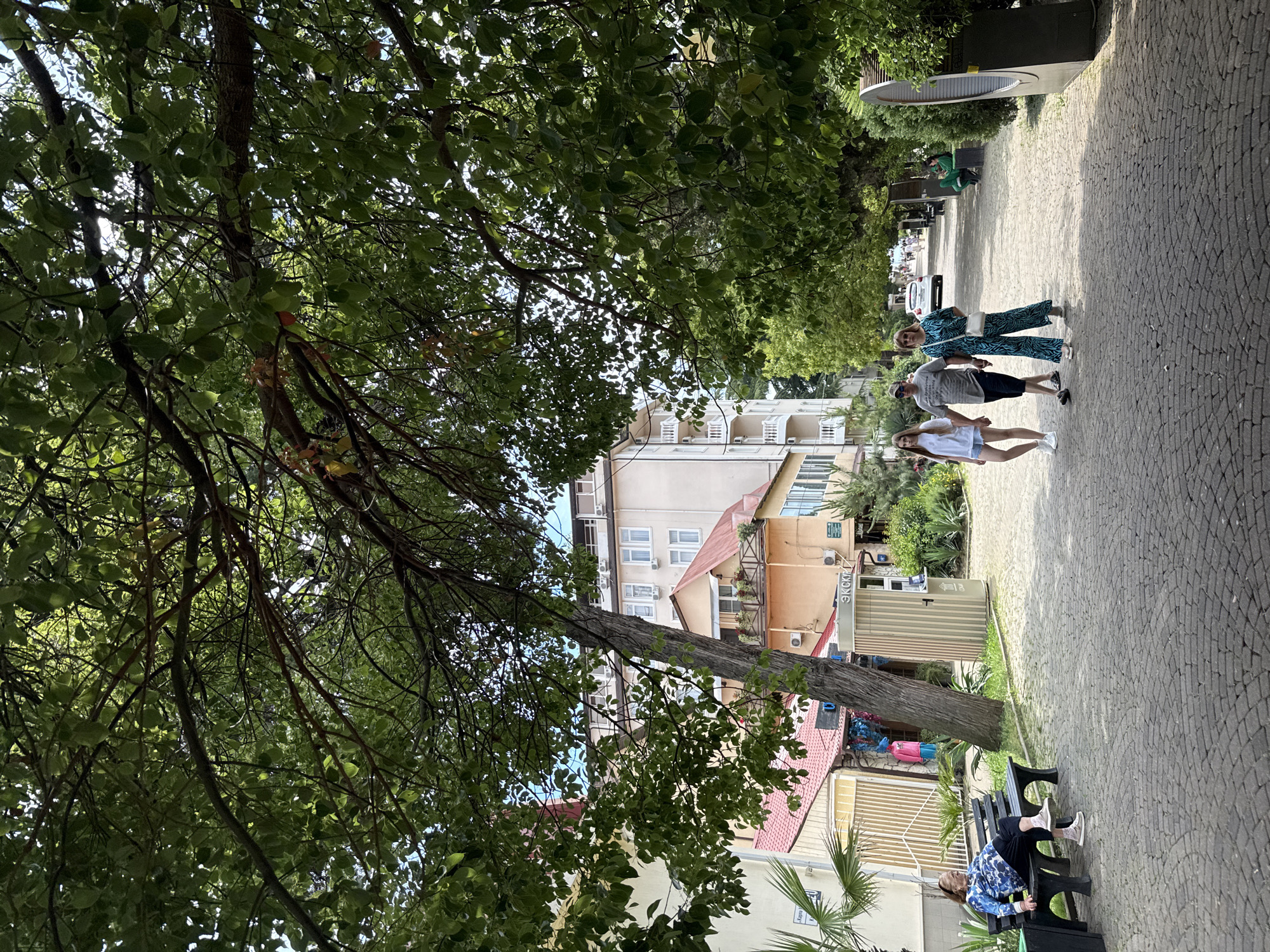 This image depicts a sunny day scene in Sochi, Russia. The foreground is dominated by lush green tree branches and leaves, casting dappled shade on a cobblestone pathway. In the middle ground, a group of people are walking along the path. A woman in a patterned blue and green outfit is walking with a man in a grey t-shirt and black shorts, followed by a younger woman in a white t-shirt and denim shorts. Further down the path, other figures and a white car are visible.
Behind the pathway, buildings line the street, some appearing to be hotels or apartments with multiple windows and balconies. One building has a reddish-brown tiled roof and a sign that reads "ЭКСПОРТ" in Cyrillic. The overall atmosphere seems relaxed and leisurely, suggesting a vacation or a stroll on a pleasant day. The lighting indicates it is likely midday, with bright sunshine. The presence of palm trees and the architecture suggest a warm climate. The activity is primarily people walking and enjoying the outdoors.