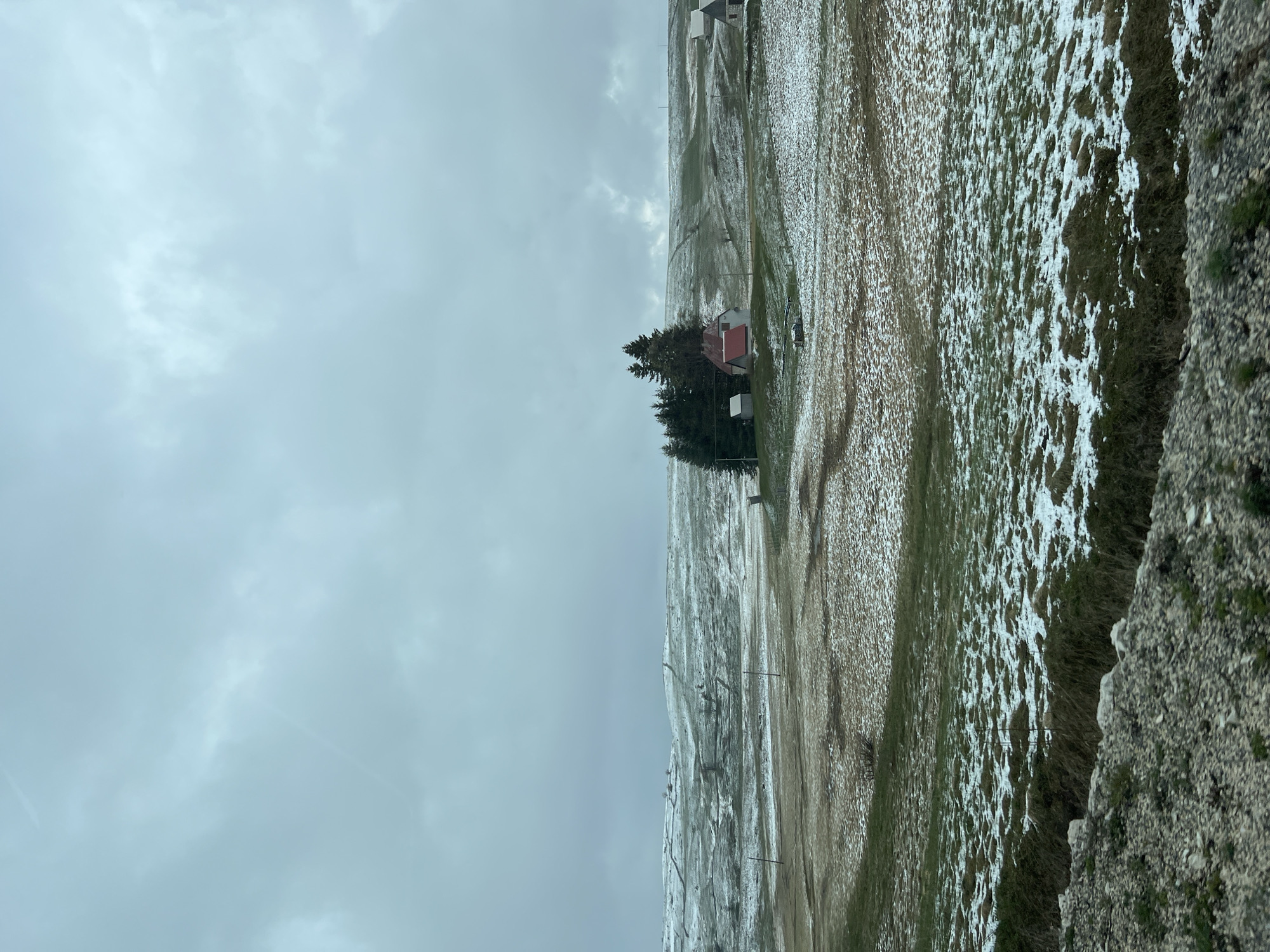 The image captures a broad, rural landscape in Provalija, Montenegro, under an expansive, overcast grey sky. The scene is characterized by rolling terrain partially covered in patches of melting snow, intermingled with visible green grass and brown earth, suggesting a late winter or early spring season.
Towards the left of the frame, a small, white house with a prominent red roof is centrally positioned amidst a dense cluster of dark green coniferous trees. These trees stand out against the muted tones of the fields. Stretching across the landscape are several thin, dark power poles, indicating the presence of utilities. In the distant background, faint structures, possibly other houses or farm buildings, can be seen on the elevated ground.
The foreground on the right displays a rough texture of rocks and sparse vegetation, implying the photo was taken from a slightly elevated and rocky vantage point. The ground itself shows varied textures from snow cover to exposed earth and grass, with subtle lines possibly indicating paths or farm tracks. No specific activities are taking place, and no people or visible text are present. The overall atmosphere is quiet and serene, reflecting the cold, cloudy weather.