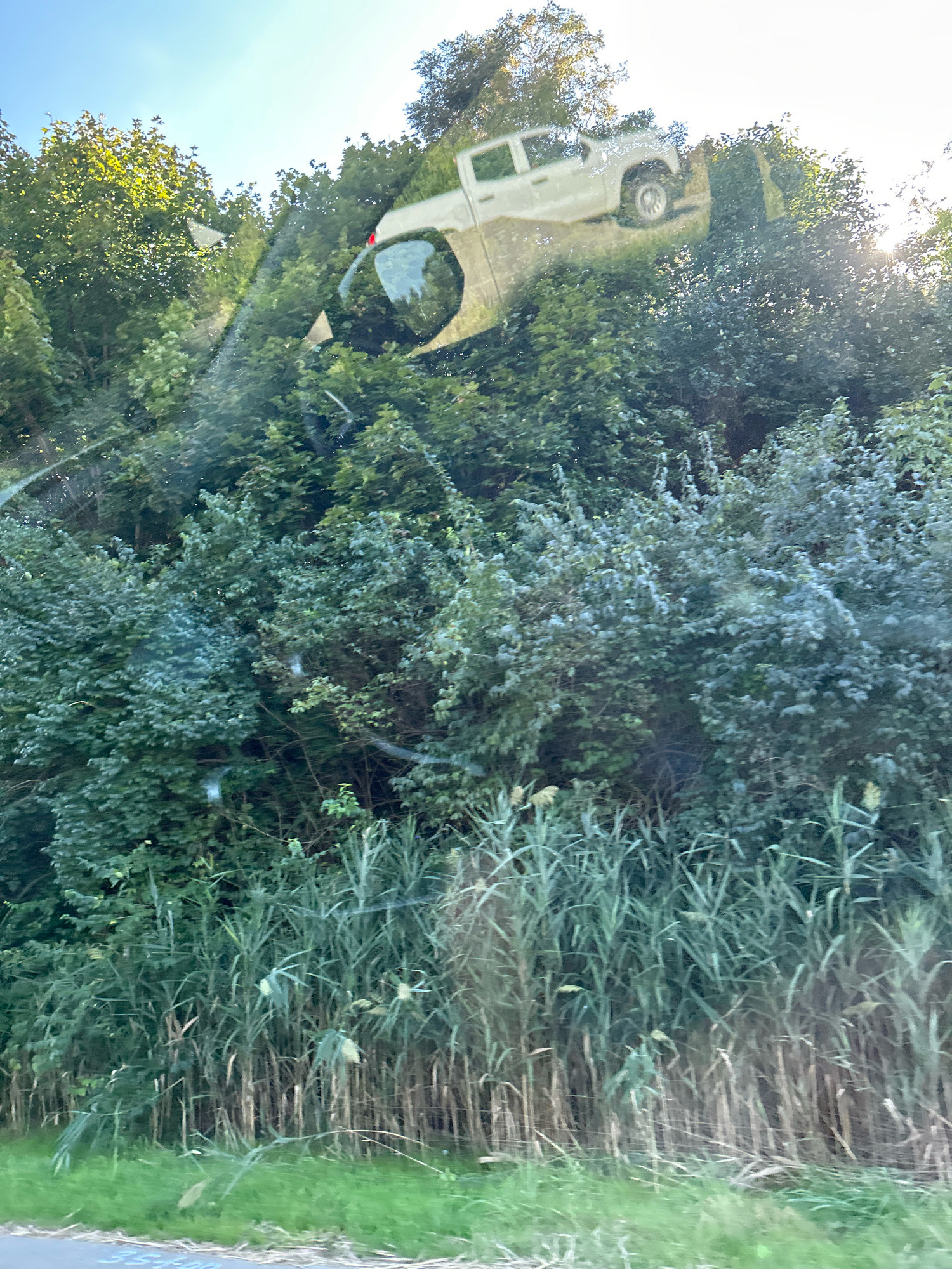 The image depicts a reflection on a windshield, showing a white pickup truck parked on a grassy incline. The truck is positioned to the right of a tree, with its rear wheel visible. The background consists of lush green trees and a clear blue sky. The bottom of the image shows reeds and grass, with a grey surface that appears to be a road with some markings. The overall scene suggests an outdoor environment, possibly in a rural or suburban area. The location is identified as Robinson Township, United States of America.