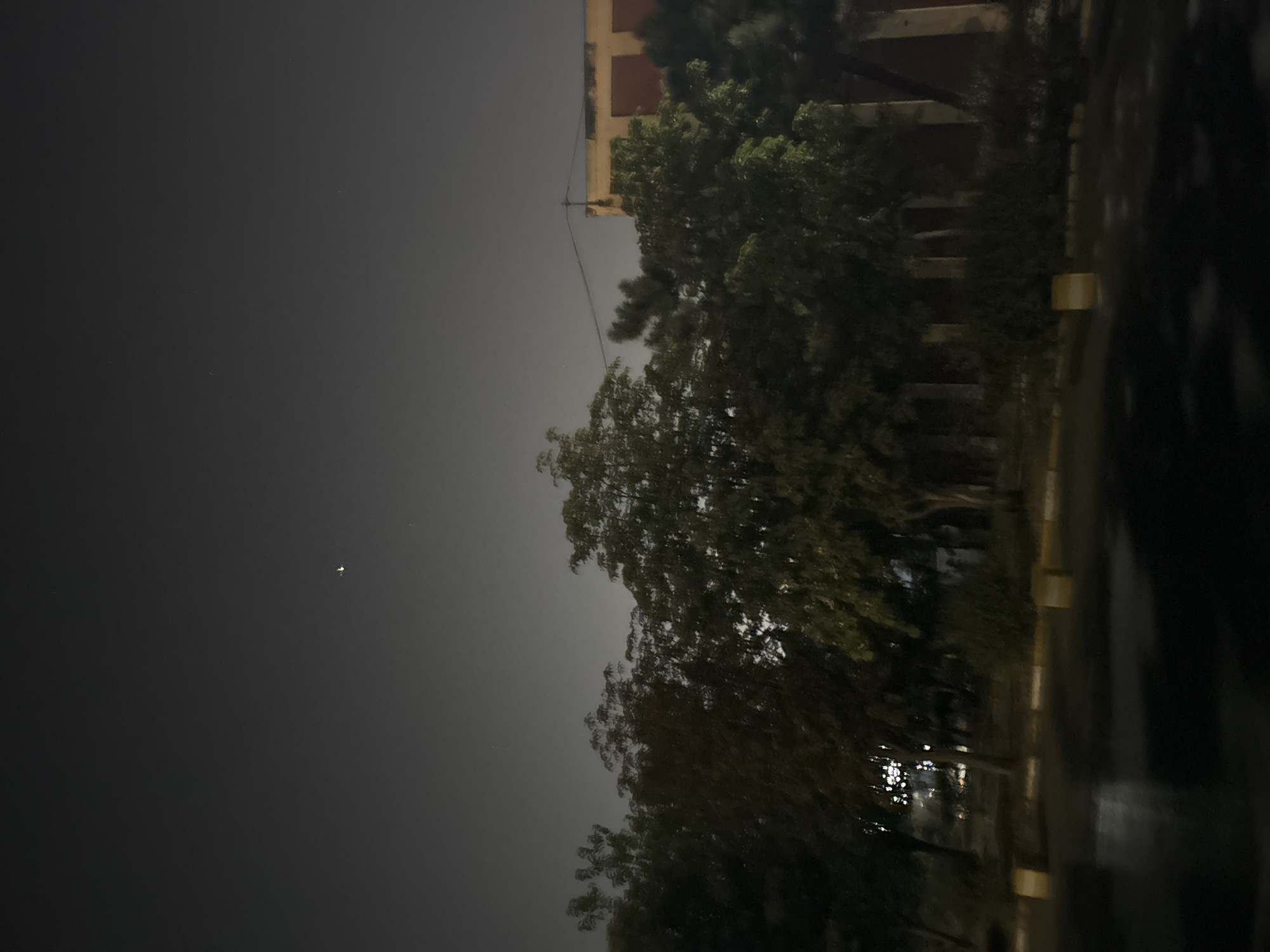 A nighttime, slightly blurry, outdoor scene depicts a row of trees in the foreground, some with dark foliage and others with reddish-brown leaves. Behind the trees, a building with a yellow facade and red-brown windows is visible, along with a dark, possibly wet, paved area in front of the trees. The sky is dark gray with a few faint stars or celestial objects. Yellow and white markers are placed along the edge of the paved area. The image was taken in Gebze, Turkey.