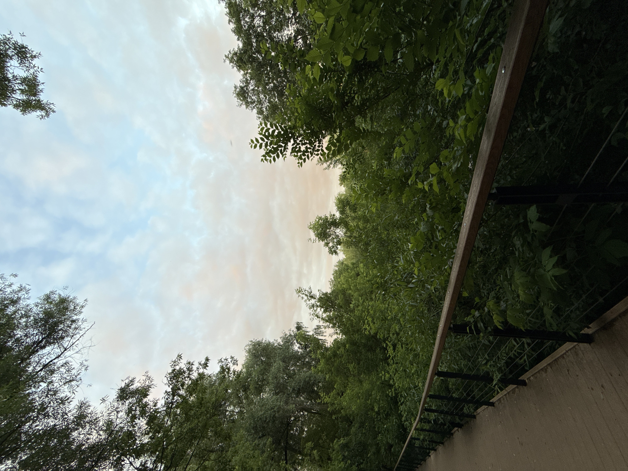 The image depicts a wooden walkway with a dark metal railing on the left side, bordered by dense green foliage. Above the trees, a pale sky with scattered clouds is visible, tinged with soft pink and orange hues, suggesting either sunrise or sunset. The walkway appears to be elevated, as indicated by the view into the trees below the railing. The overall scene is natural and serene, with no people or animals present.
Based on the visual cues and the likely context of such a scene, this photograph could be located in one of Moscow's numerous parks or natural reserves. A likely candidate is the Losiny Ostrov National Park, an expansive natural area with extensive walking trails and diverse vegetation, which offers similar scenic views. Alternatively, it could be a path along the Moskva River, or within a large botanical garden such as the Main Botanical Garden of the Academy of Sciences. The presence of a well-maintained walkway and dense, mature trees points to a protected natural area within the city limits of Moscow, Russia.