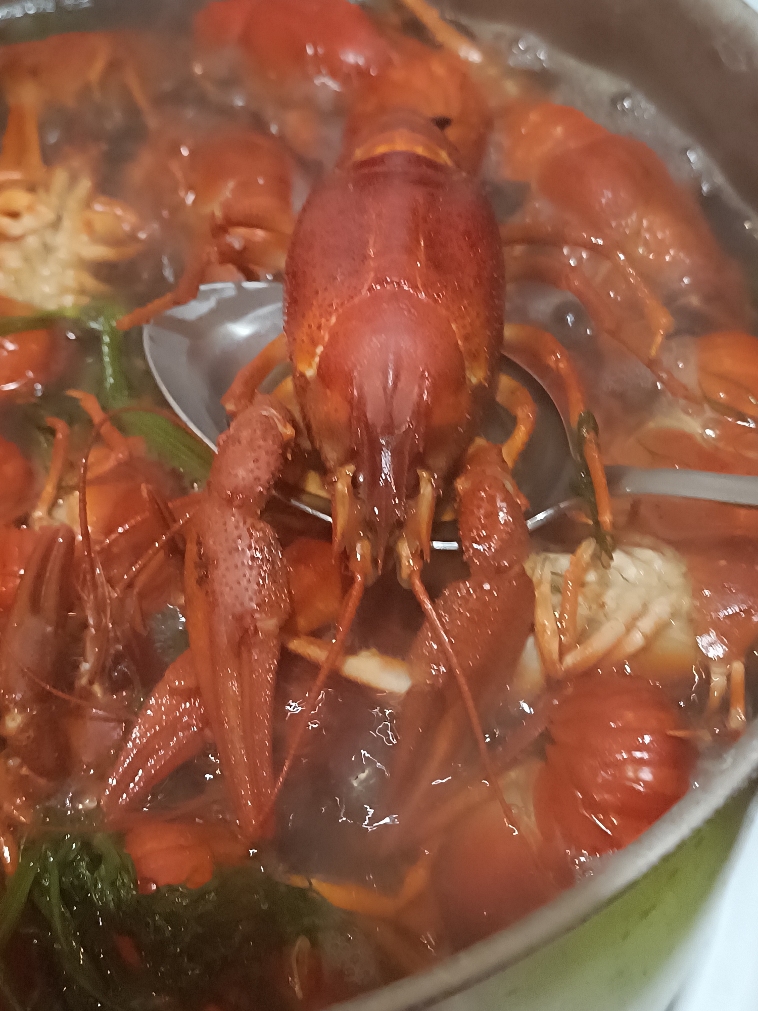 A close-up, overhead view shows several bright red crawfish being boiled in a pot of water. The crawfish are submerged in the water, with some parts protruding above the surface. Steam rises from the pot, indicating that the water is hot. Green leafy herbs are also visible in the pot, mixed in with the crawfish. A metal spoon is partially submerged in the water, resting on top of some of the crawfish. The pot appears to be made of metal. The image is taken in an indoor setting, likely a kitchen.