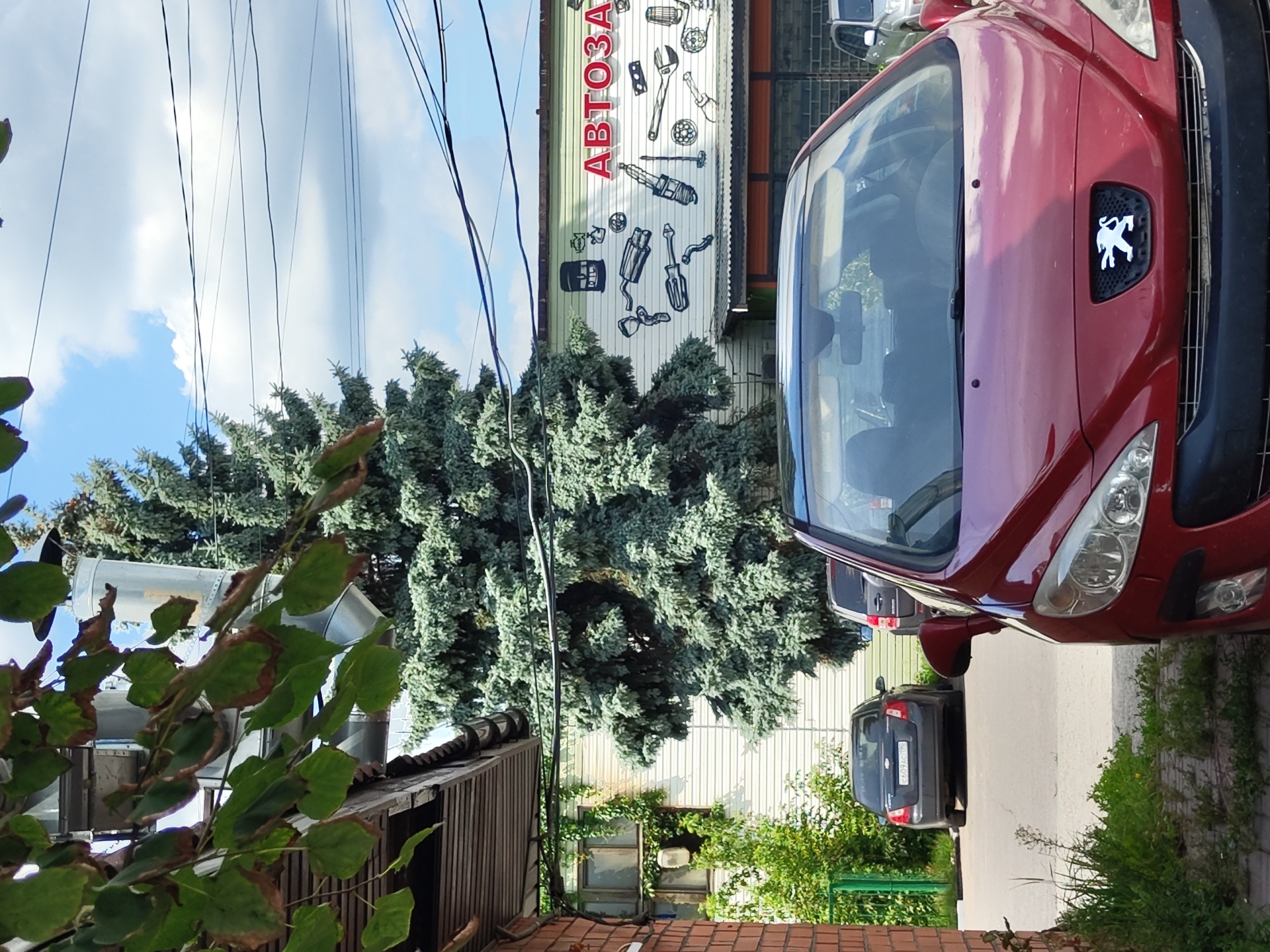 In Zhukovsky, Russia, a dark red Peugeot 308 hatchback is parked in the foreground, facing forward. Its front bumper and hood are visible, with the Peugeot logo prominently displayed on the grille. To the left of the Peugeot, a dark gray Chevrolet Aveo sedan is parked, displaying a Russian license plate that reads "C609AC 190". Behind the Aveo, a dark SUV is partially visible. The vehicles are situated on an asphalt surface, with overgrown grass and plants to the left of the parked cars.
In the background, a building with a light-colored, horizontally paneled facade stands. A large, mature blue spruce tree is positioned in front of the building. The building's facade is decorated with a mural depicting various car parts, including oil cans, mufflers, spark plugs, and wrenches. The word "АВТОЗА" is written in large red letters on the building, suggesting it is an auto parts store or service center. Overhead, power lines crisscross against a sky filled with white clouds. To the far left, the eaves of a wooden structure are visible, with green leaves hanging from a branch in the upper portion of the image.