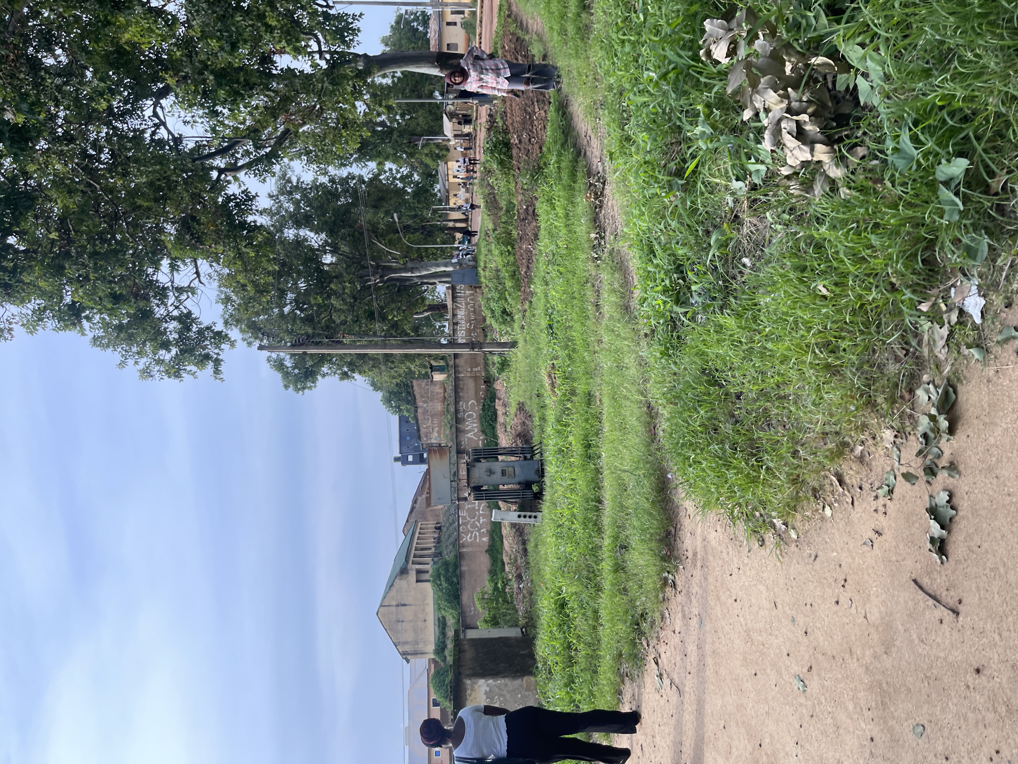 The image shows an outdoor scene on an overcast day, likely in Rafin Par, Nigeria. A dirt path leads through an area with lush green grass and scattered dry leaves. In the foreground, on the left, a woman wearing a white top and black pants walks away from the camera. Further back, a large grey electrical transformer stands in a patch of grass. A concrete wall with graffiti, including the words "VOTE SCCU MATO" and "AMOS," runs horizontally across the middle ground. Behind the wall, a long, low building with a green roof is visible, as are other smaller structures and trees. On the right side of the frame, another woman in a checkered shirt and ripped jeans stands looking towards the camera. A few other people are visible in the distance, walking near buildings and trees. Power lines and poles are also present throughout the scene.