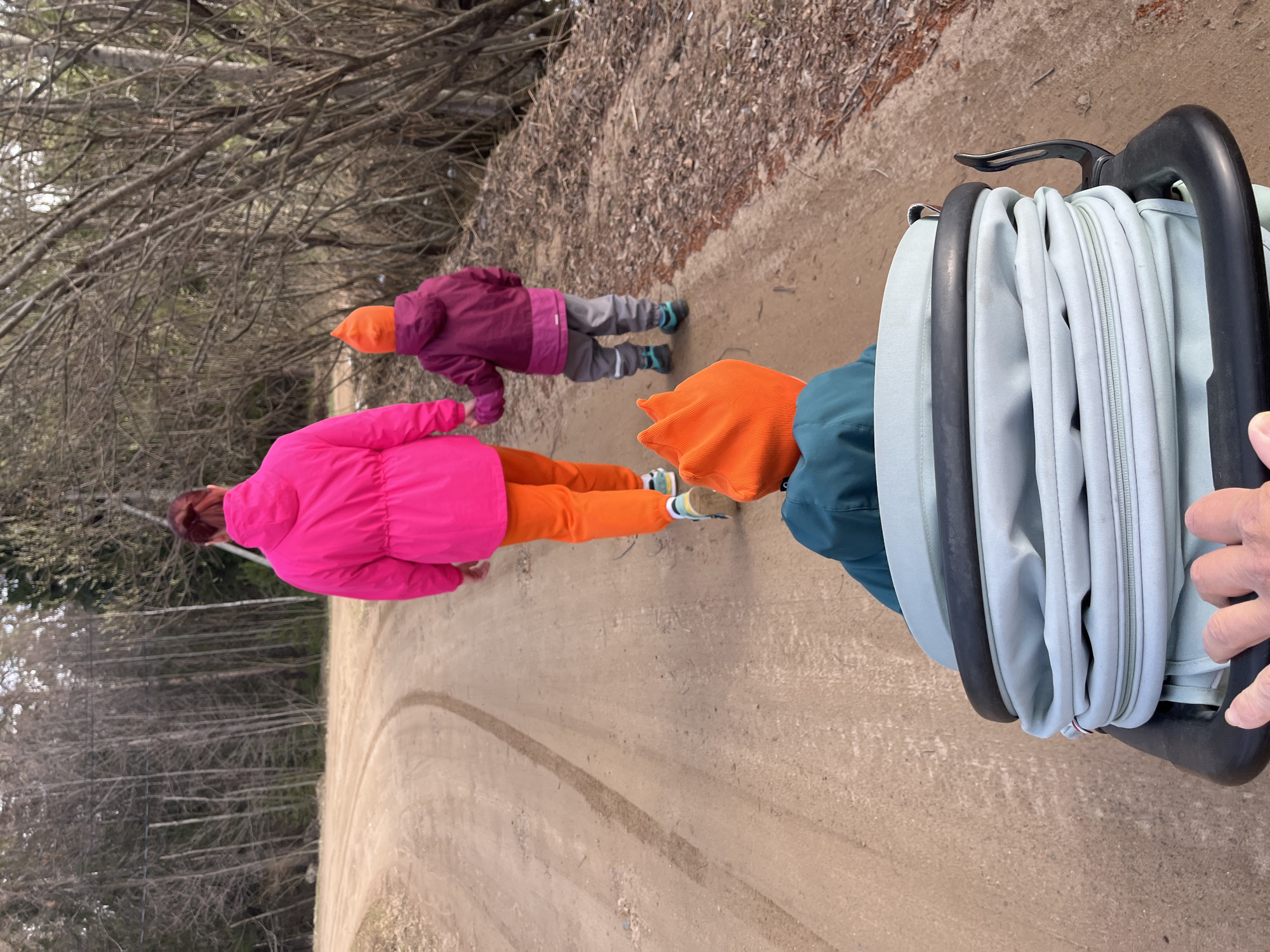 The image depicts a dirt path in a natural area, likely in a park or wooded area. A tire track is visible in the path. In the distance, a child in a purple jacket and orange hat walks along the path. A woman in a pink jacket and orange pants is also walking on the path. The foreground is dominated by a light blue baby carrier or bassinet attached to a black frame. A hand is visible near the frame, presumably holding it. Bare trees and ground cover are visible in the background. The image was taken outside in Chaikovsky, Russia.