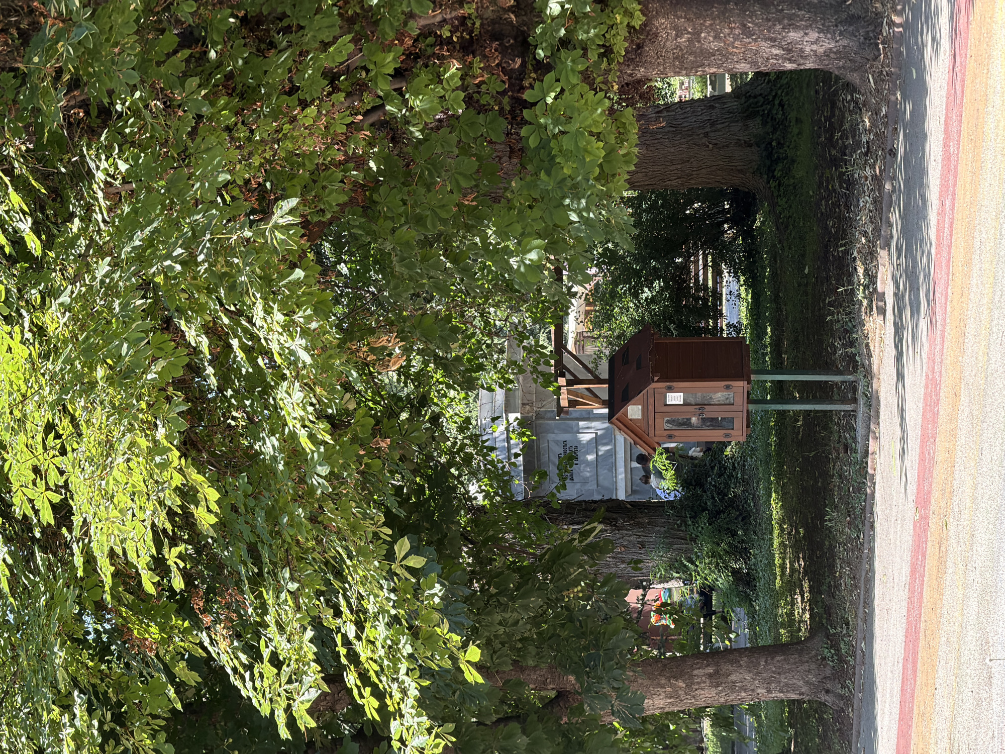 This image depicts a small, wooden, house-shaped library with glass doors, positioned on a metal pole in an outdoor area. The library is situated in front of large trees with lush green foliage. Behind the trees, a stone monument or building with visible text in Cyrillic script is present. Two individuals, a man and a woman, are partially visible in the background, near the stone structure. The foreground shows a paved area with a colorful striped pattern. The scene suggests a public space, possibly a park or a street in the city of Pazardzhik, Bulgaria, given the presence of Cyrillic text on the monument. The overall atmosphere is one of a peaceful, sunlit day.