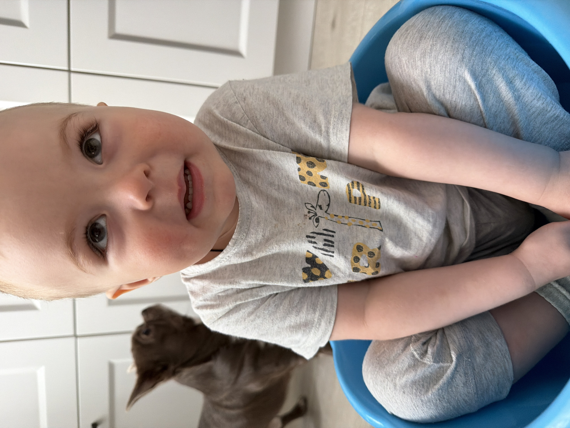 This indoor image, captured in Votkinsk, Russia, features a young child and a partially visible dog. The main subject is a fair-skinned toddler with light hair and large, dark eyes, looking directly at the camera with a curious, open-mouthed expression, revealing some teeth. The child is wearing a light grey short-sleeved t-shirt decorated with black and yellow patterns resembling leopard spots and a giraffe outline, along with matching light grey sweatpants. They are seated cross-legged inside a bright blue plastic bucket.
In the lower left background, a dark brown, short-haired dog is visible, with its head slightly out of focus and its body extending downwards. The setting appears to be a domestic space, likely a kitchen, identifiable by the white paneled cabinets that form the background. A light-colored floor is also visible. The lighting is bright and even, indicating daytime. No legible text is visible in the frame. The image portrays a candid moment of the child interacting with the camera while in the bucket, with their pet nearby.