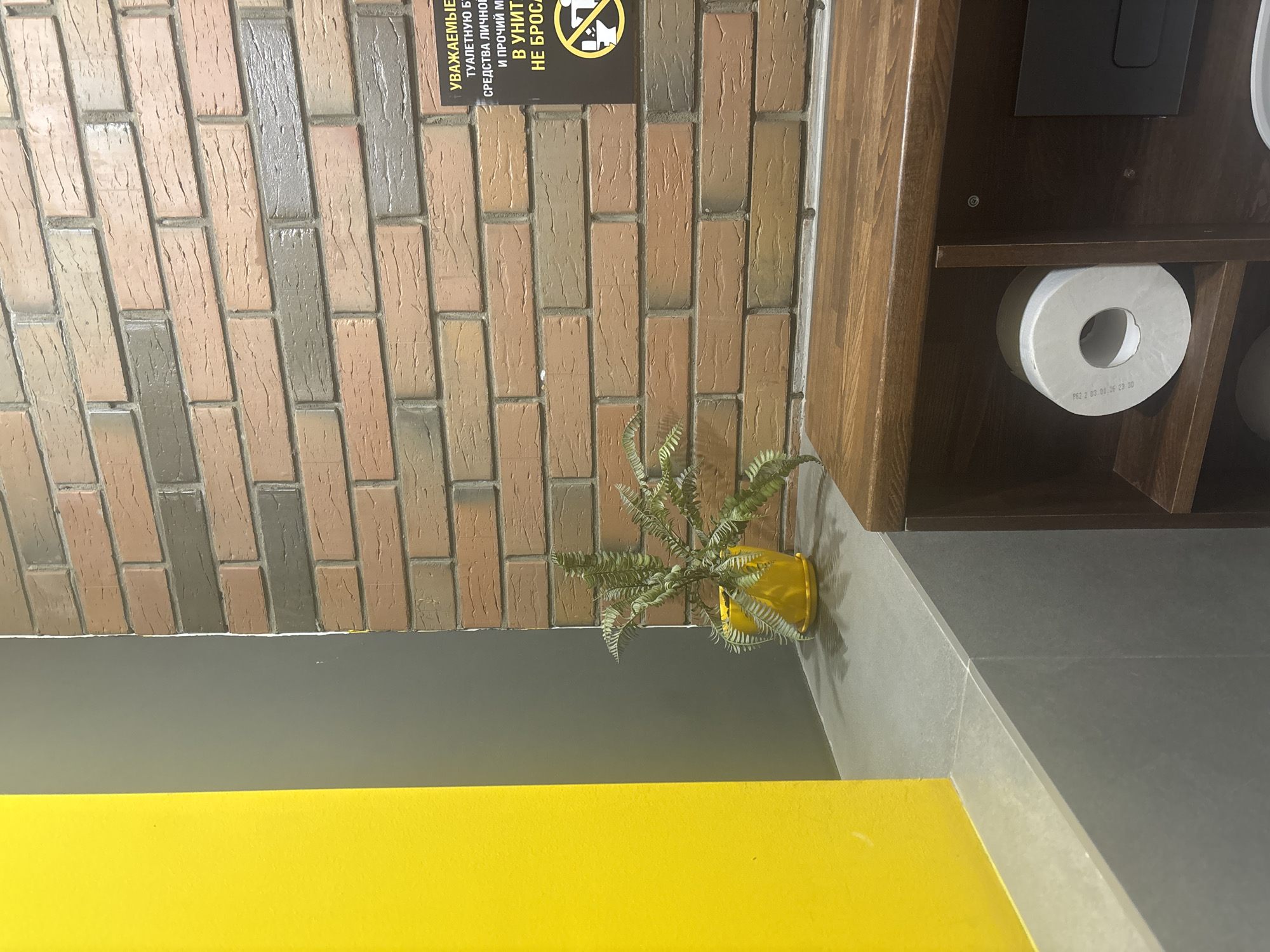 This is an interior shot of what appears to be a public restroom, possibly in Naberezhnye Chelny, Russia. On the left, a bright yellow wall meets a gray wall. To the right of the gray wall is a brick wall with alternating brown and gray bricks. A potted fern sits on a gray ledge in front of the brick wall. A wooden cabinet with shelves is in the foreground, and a roll of toilet paper is visible on the bottom shelf. A sign with Russian text and a symbol of a toilet with a prohibition mark is attached to the brick wall. The overall impression is one of functional, modern, and clean public space.